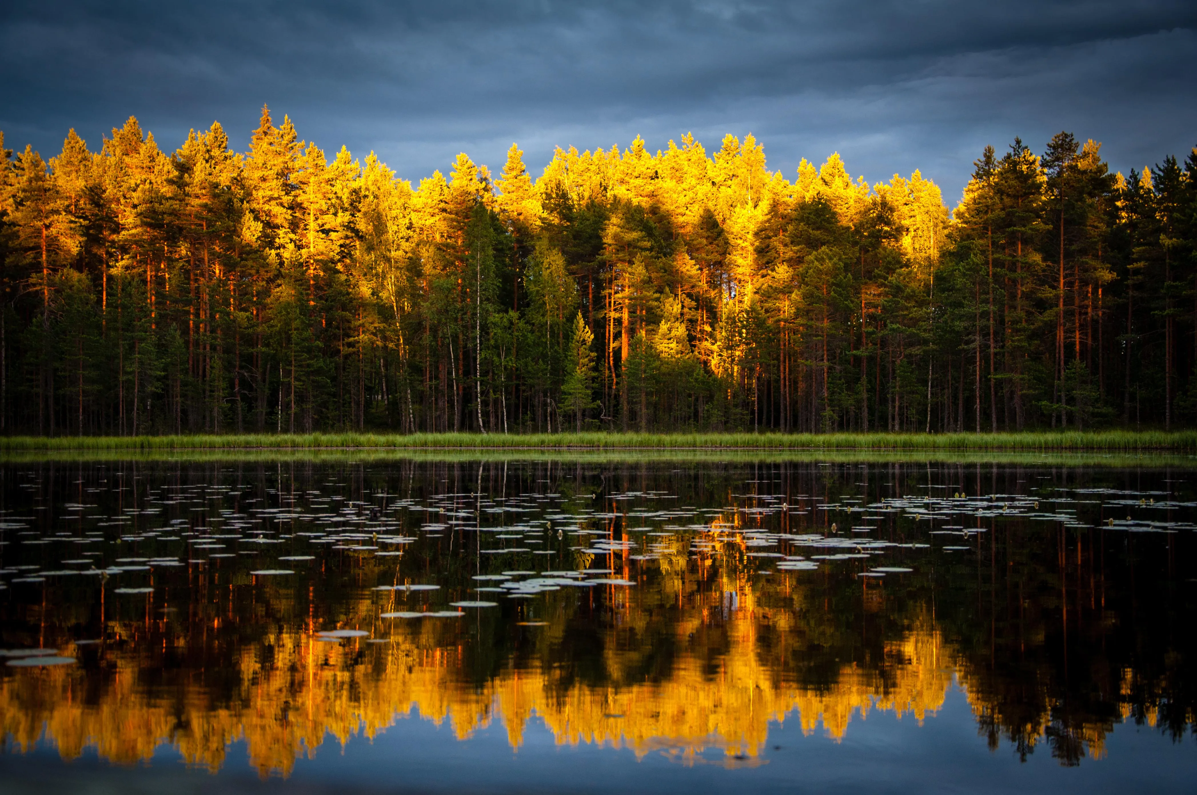 Lake View with Autumn Trees Reflected in Calm Water