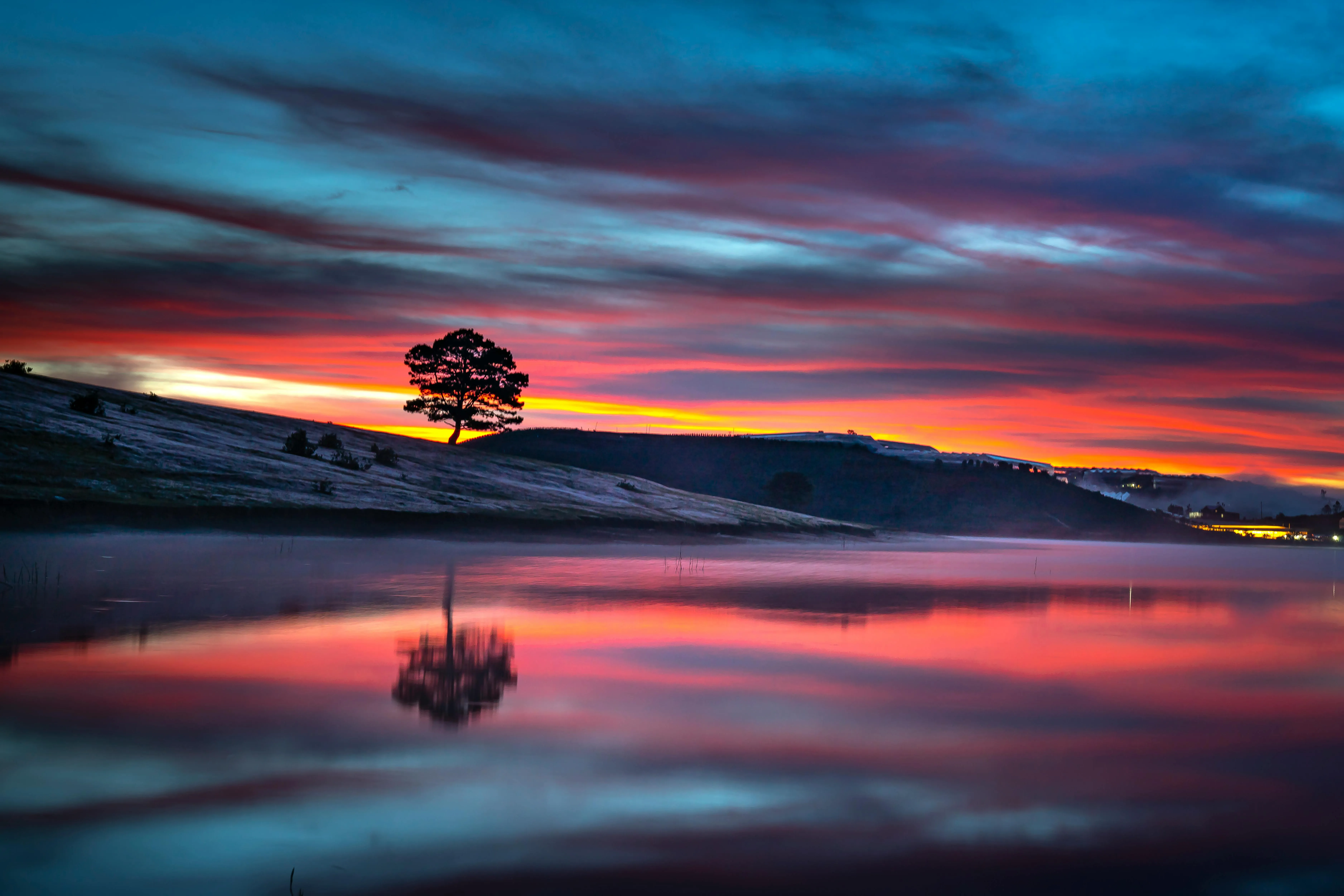 Lonely Tree By Water Reflecting Pink Clouded Sunset