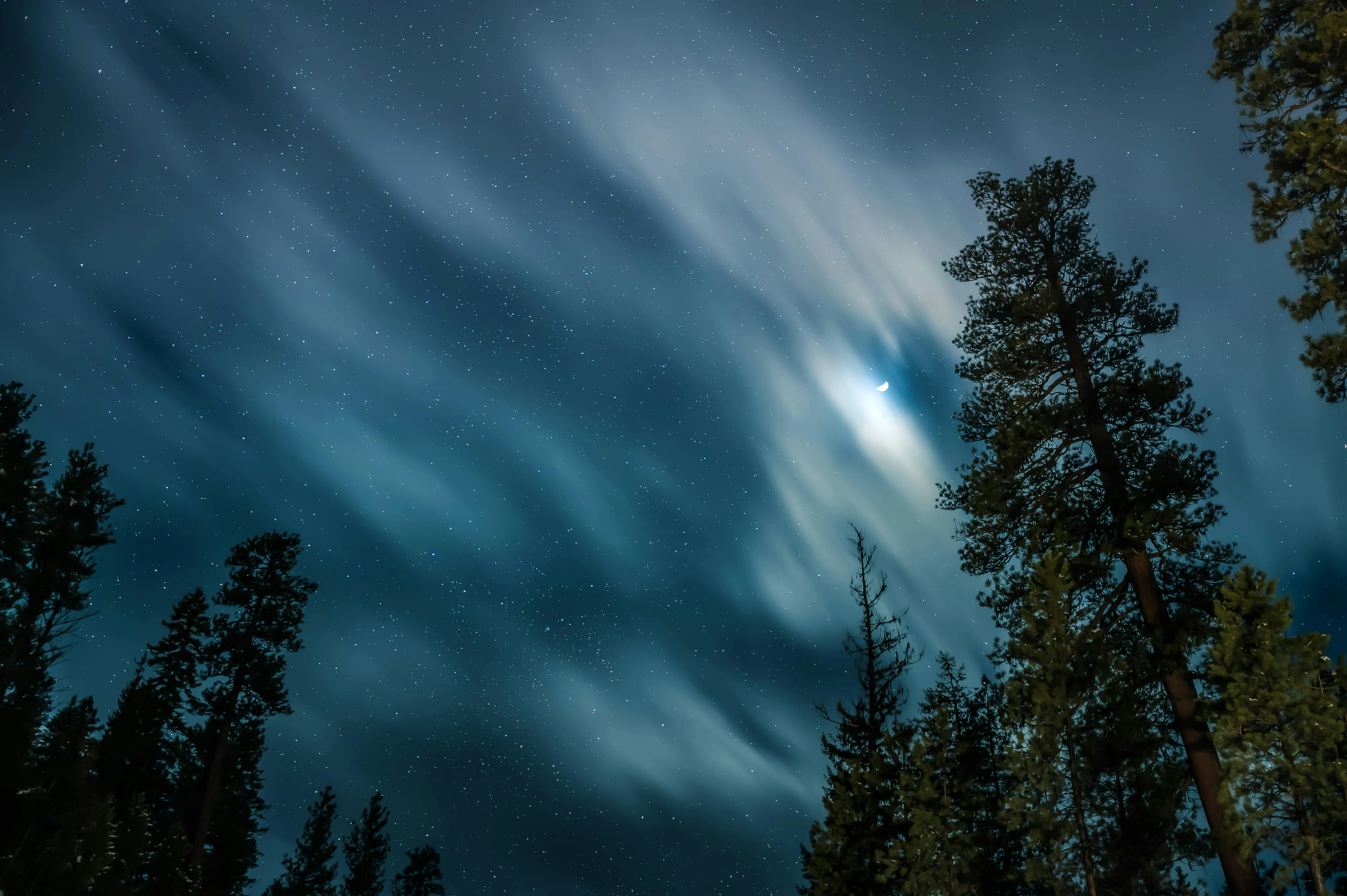 Long Exposure of Moving Clouds Over Forest at Night