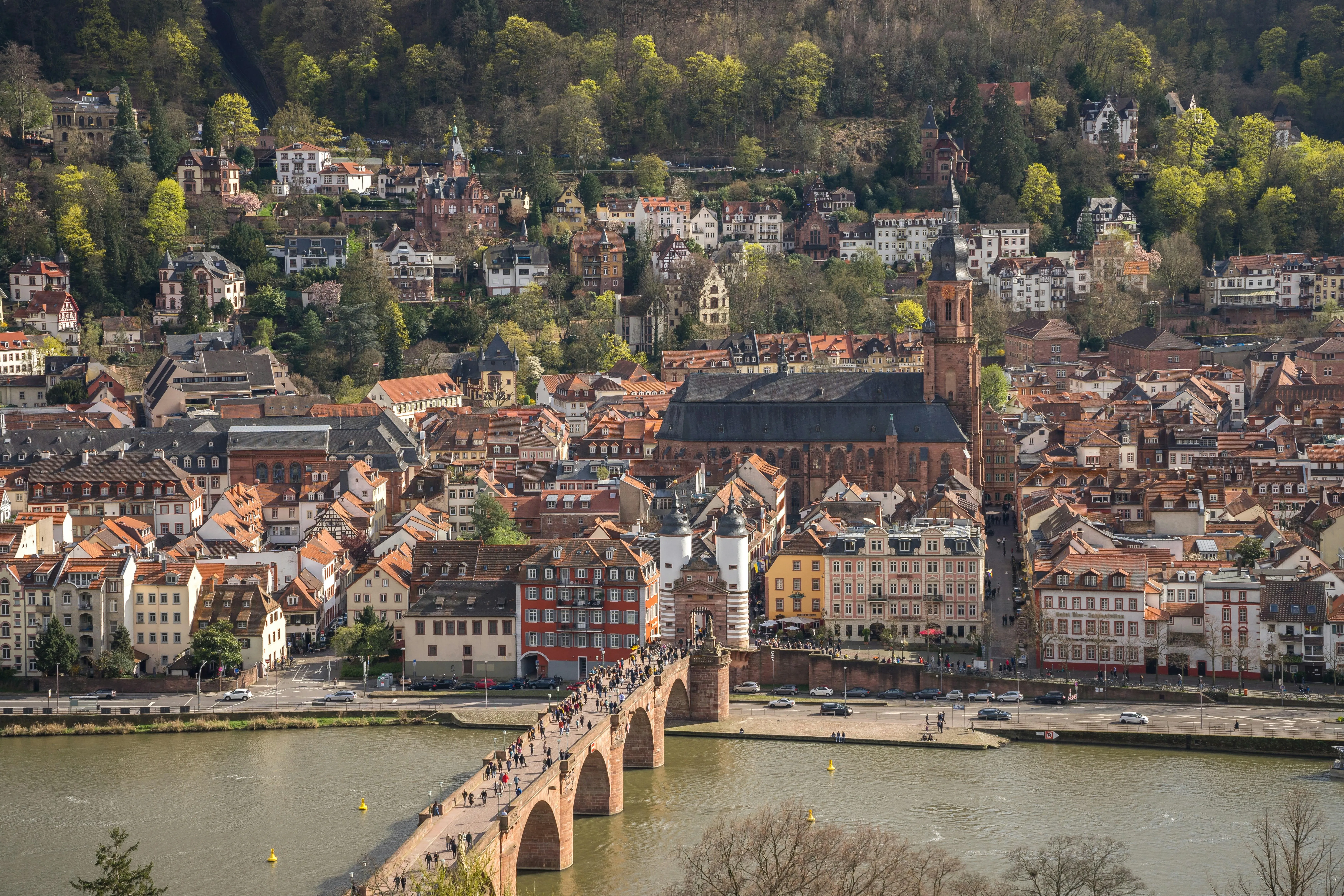 Lush forest town with winding village roads Wallpaper