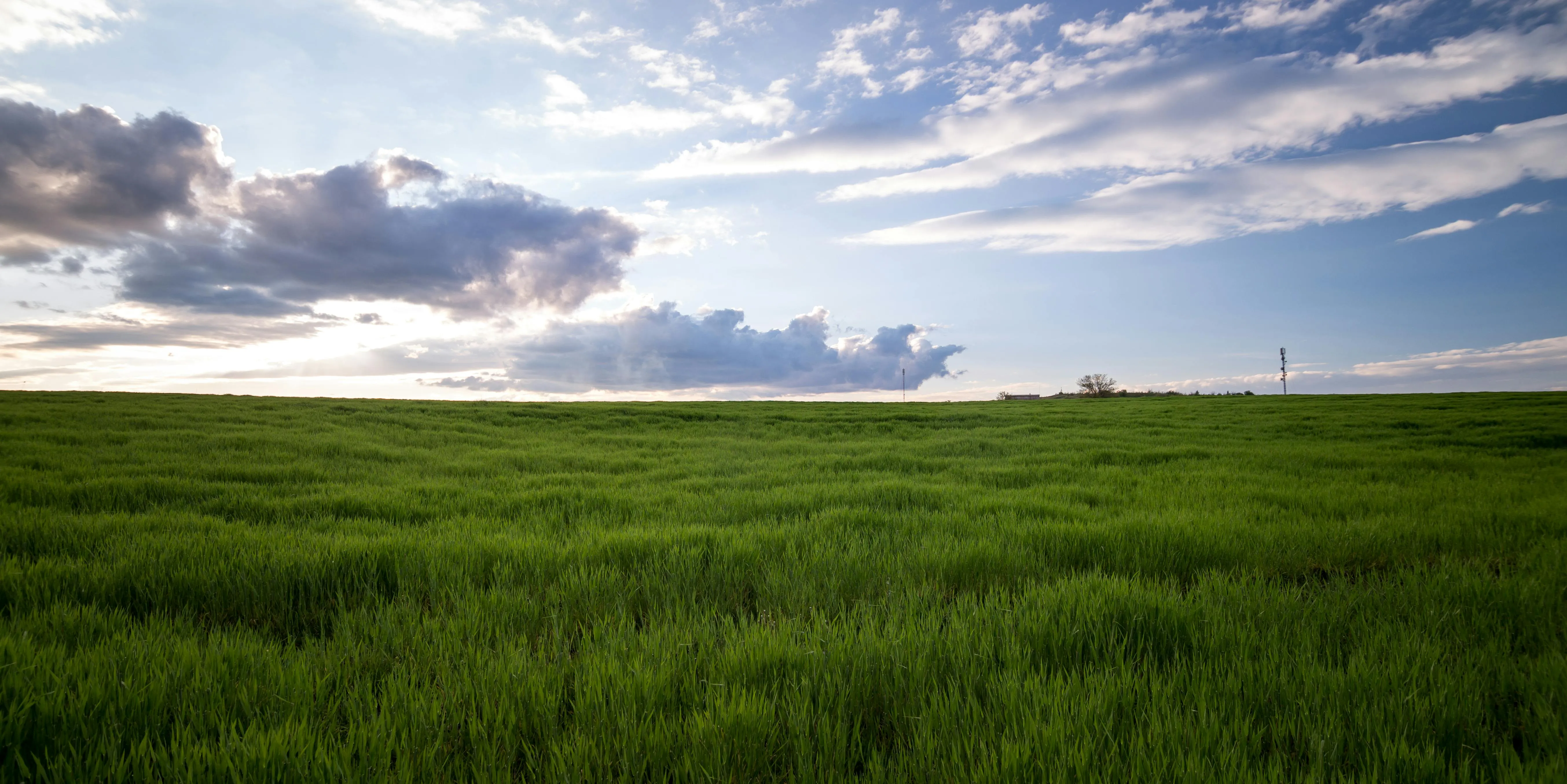 Lush Green Fields Beneath a Bright Blue Sky Wallpaper