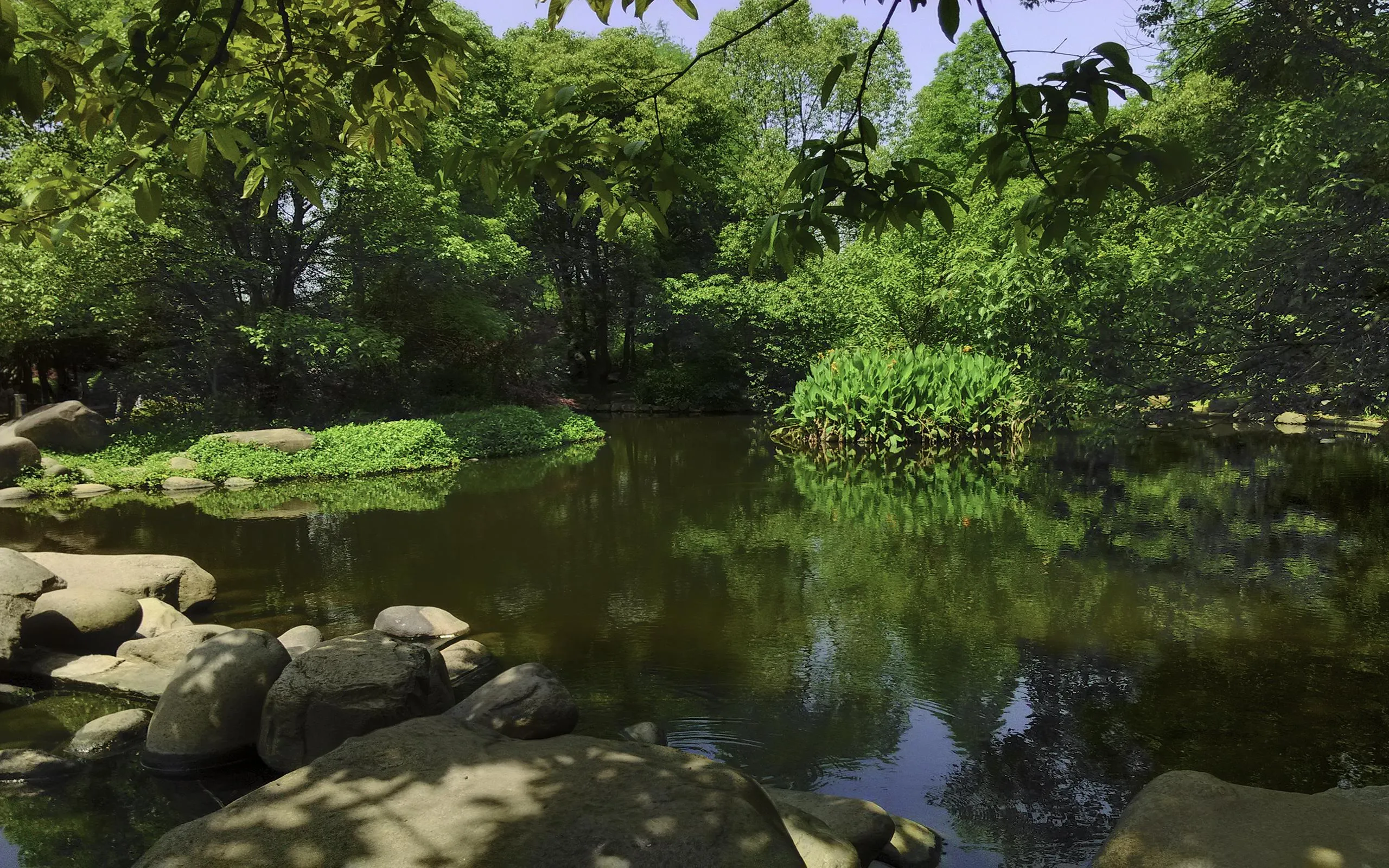 Lush green garden with flowing stream and stone bridge