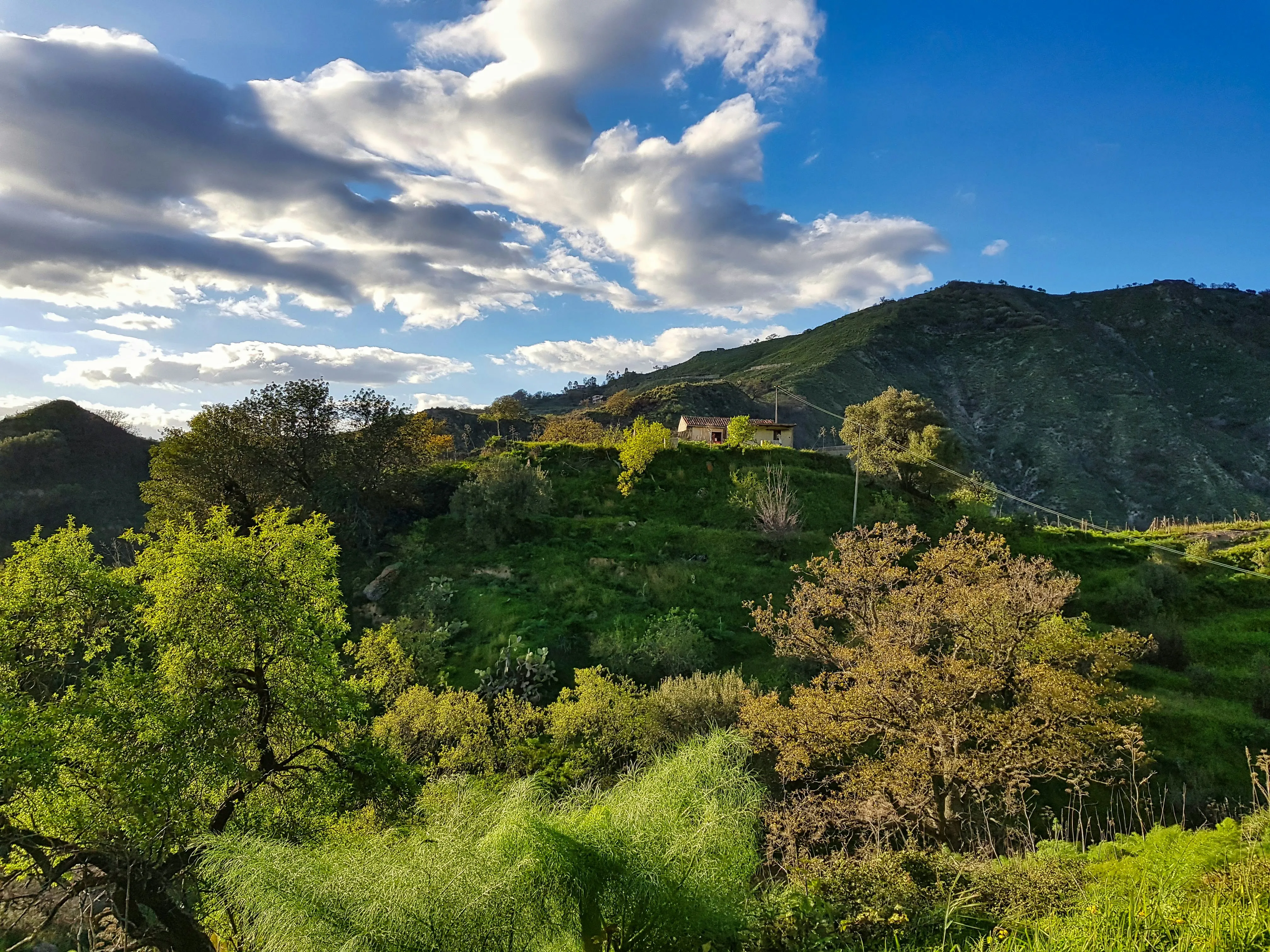 Lush Green Landscape with Mountain and Clouds in Background