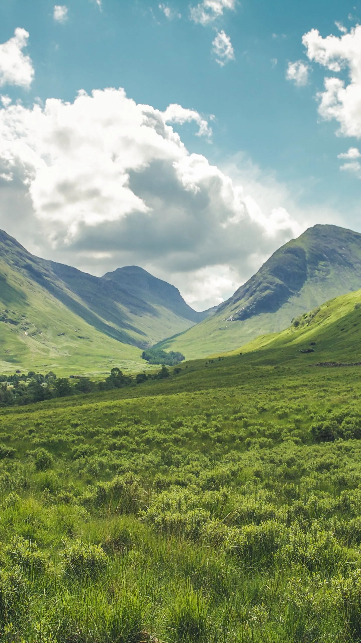 Lush Green Mountain Valley Under Partly Cloudy Blue Sky