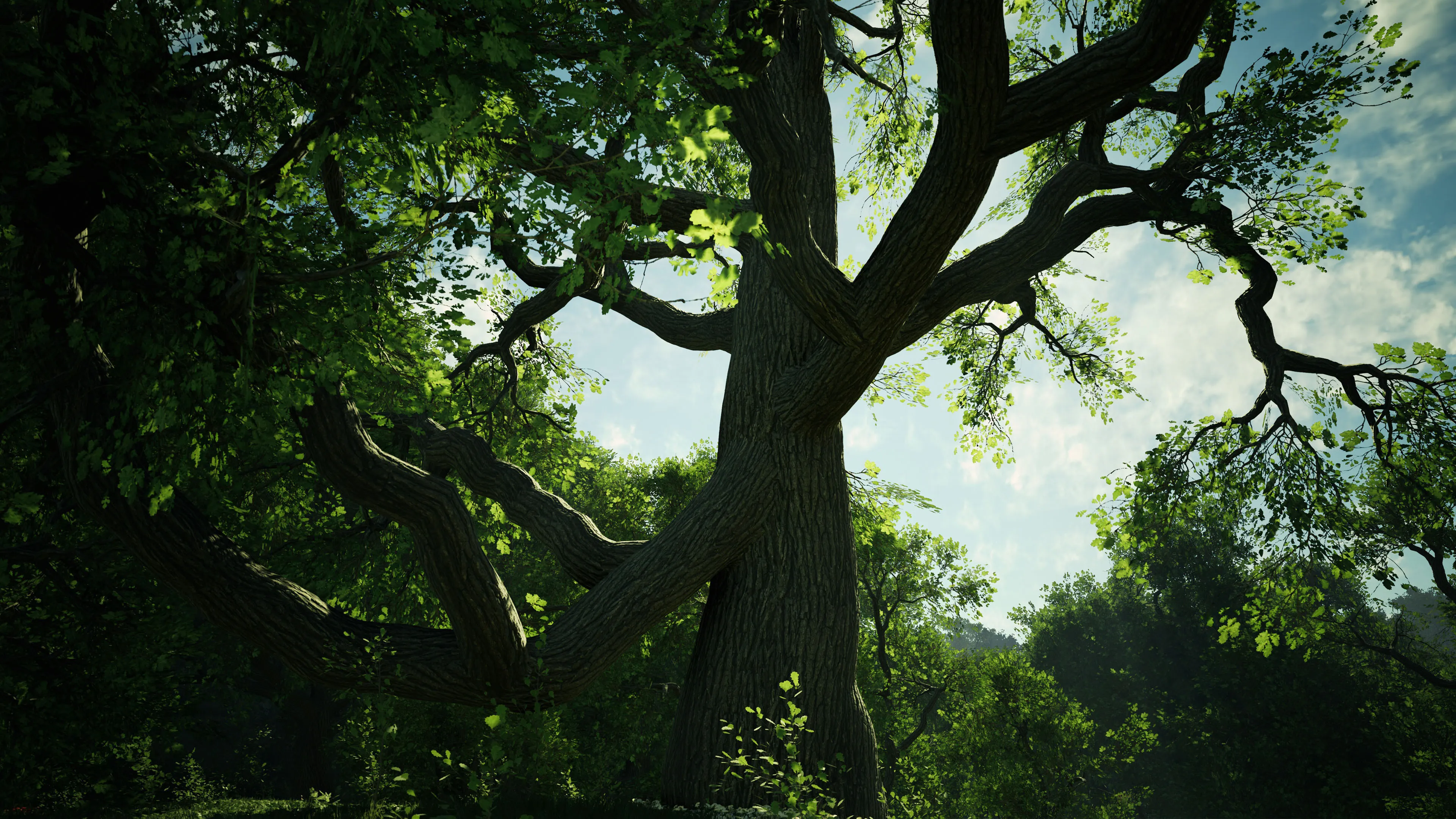Majestic Tree with Large Branches Spreading in Bright Light