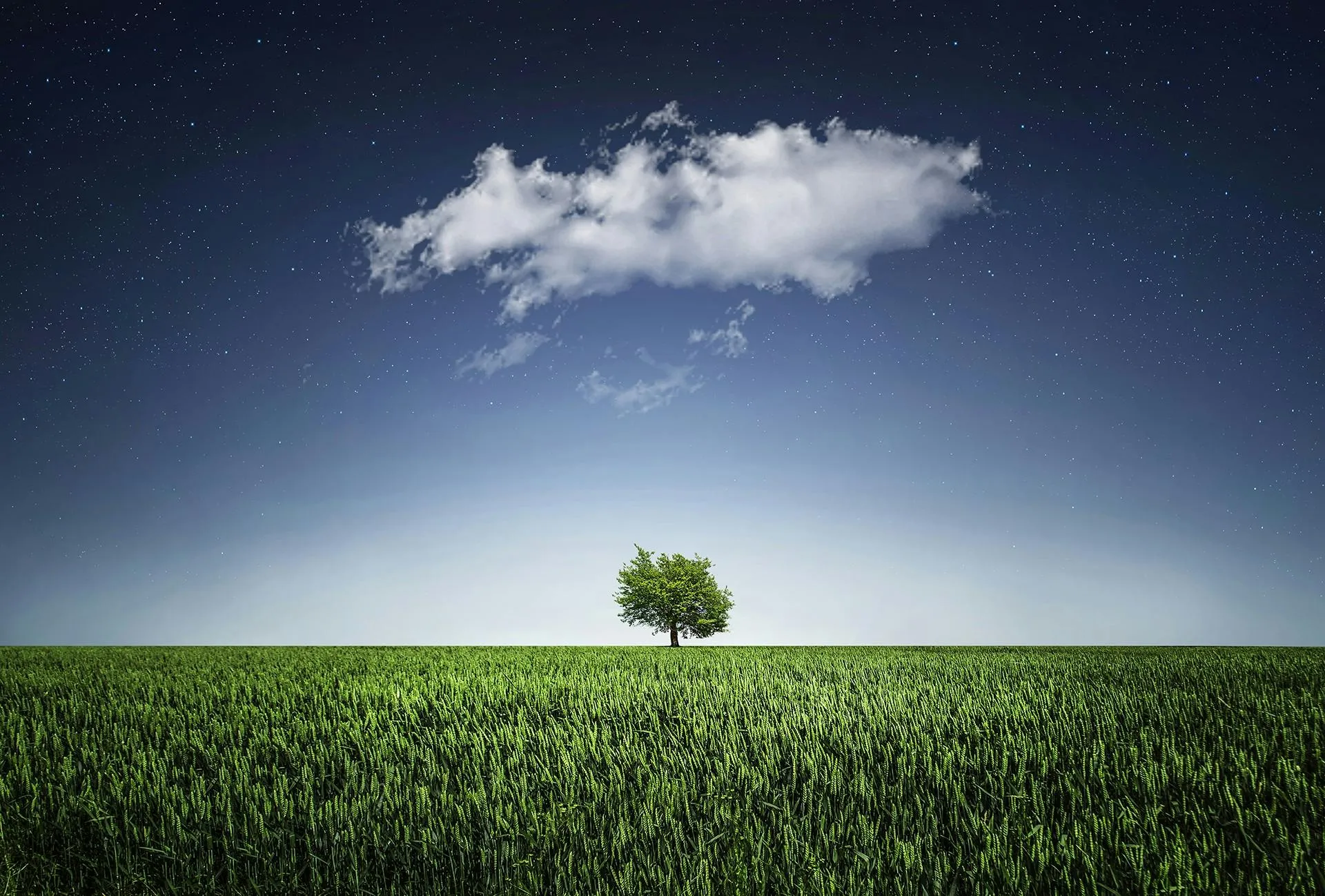 Minimal Landscape with One Tree and Single White Cloud