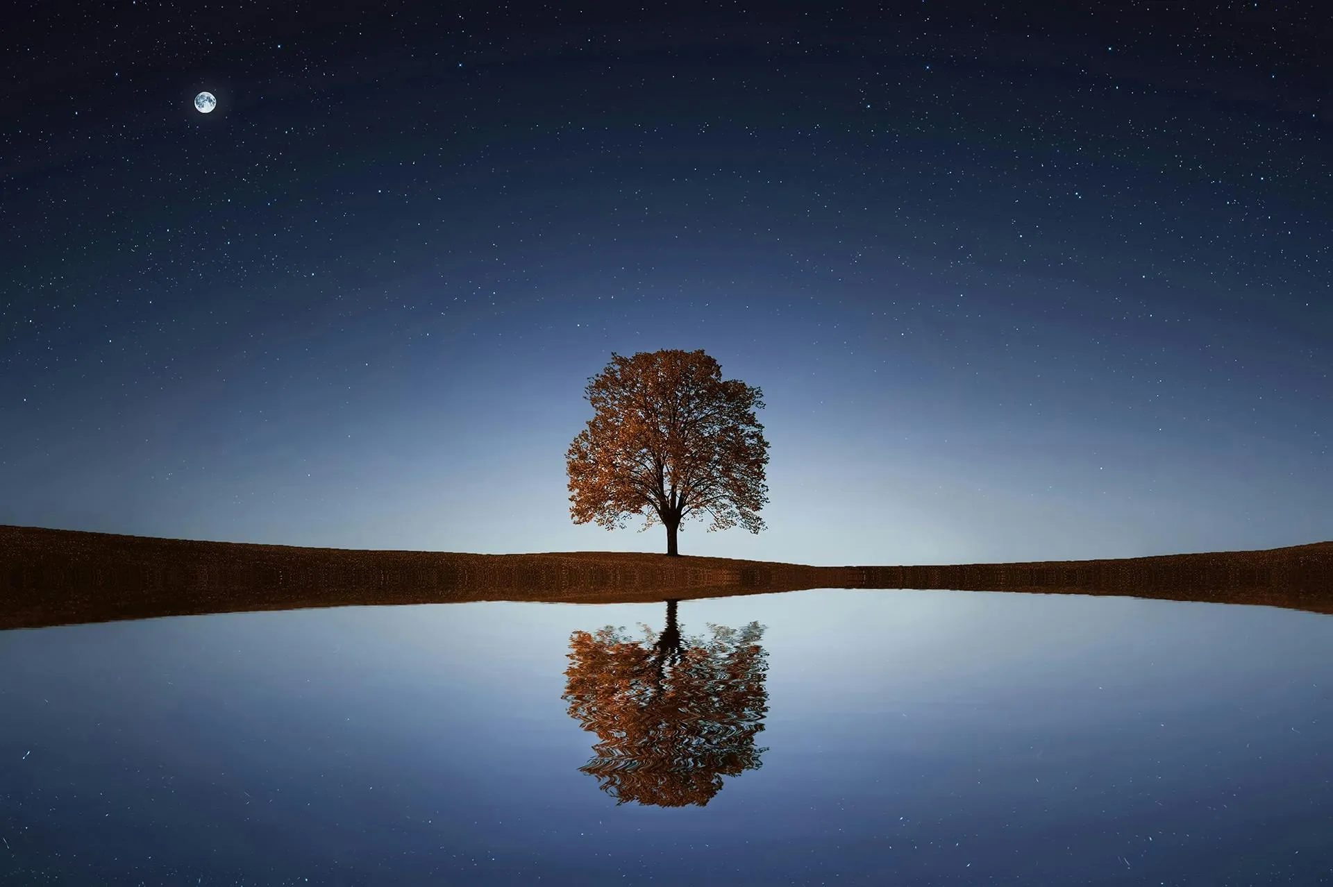 Mirror Image of Tree and Sky in Serene Water Reflection