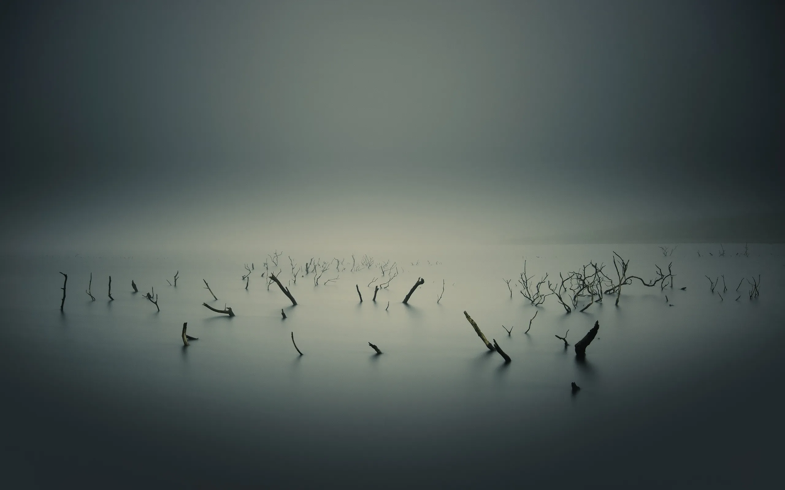 Misty Calm Lake with Submerged Branches in Soft Light