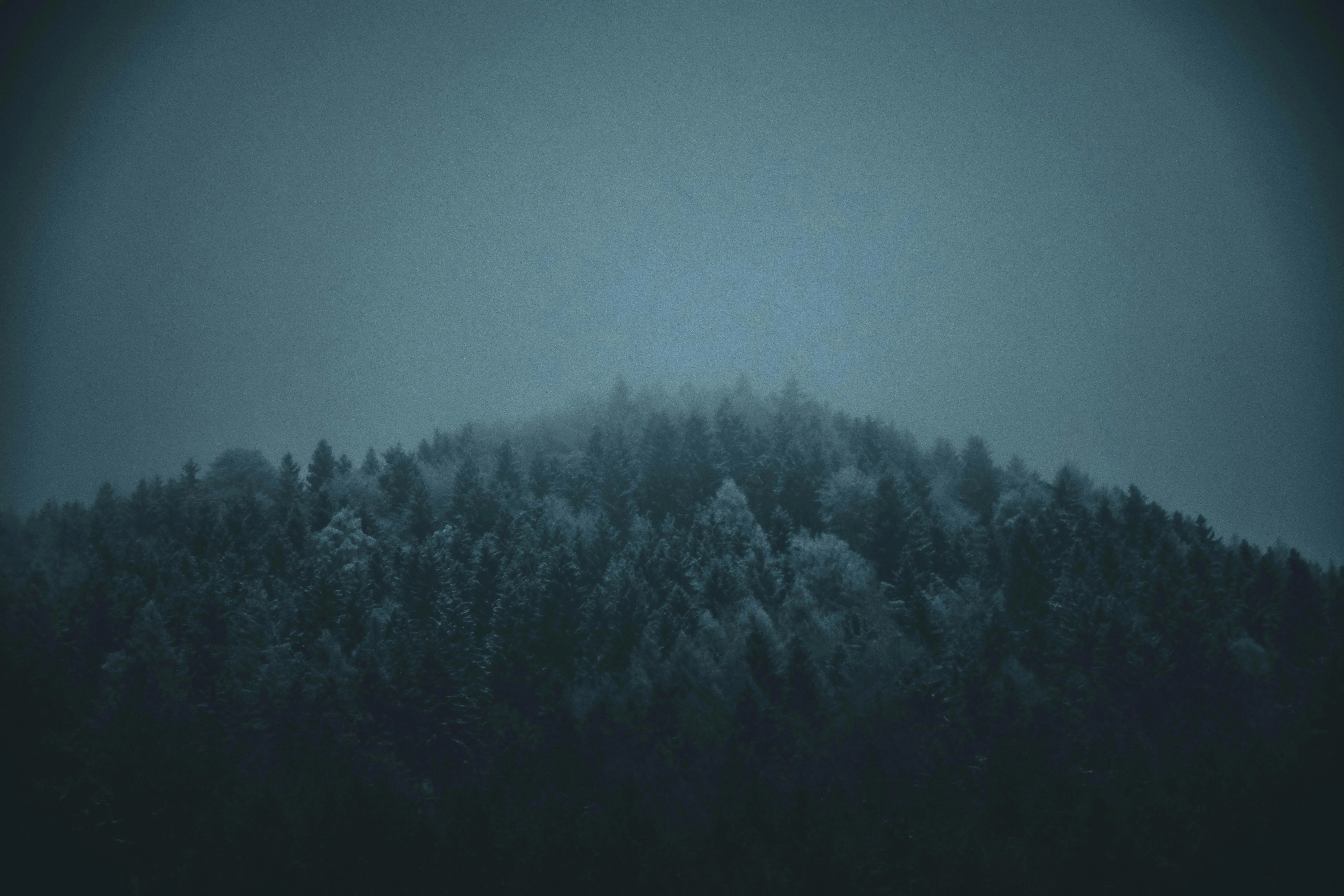 Misty Hill Is Covered with Dark Pine Trees on a Gloomy Day