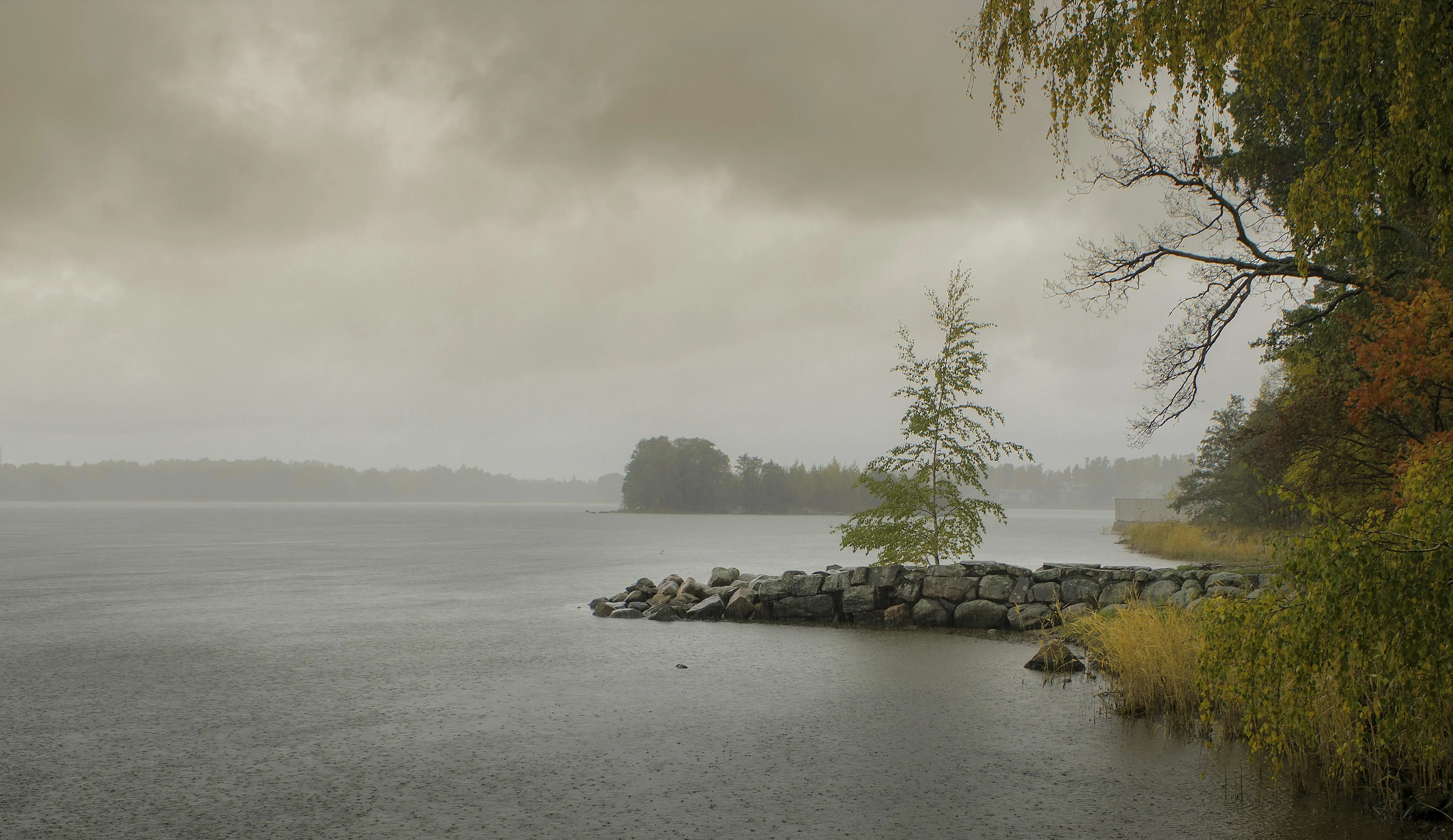 Misty Morning Landscape After a Rain Shower Wallpaper