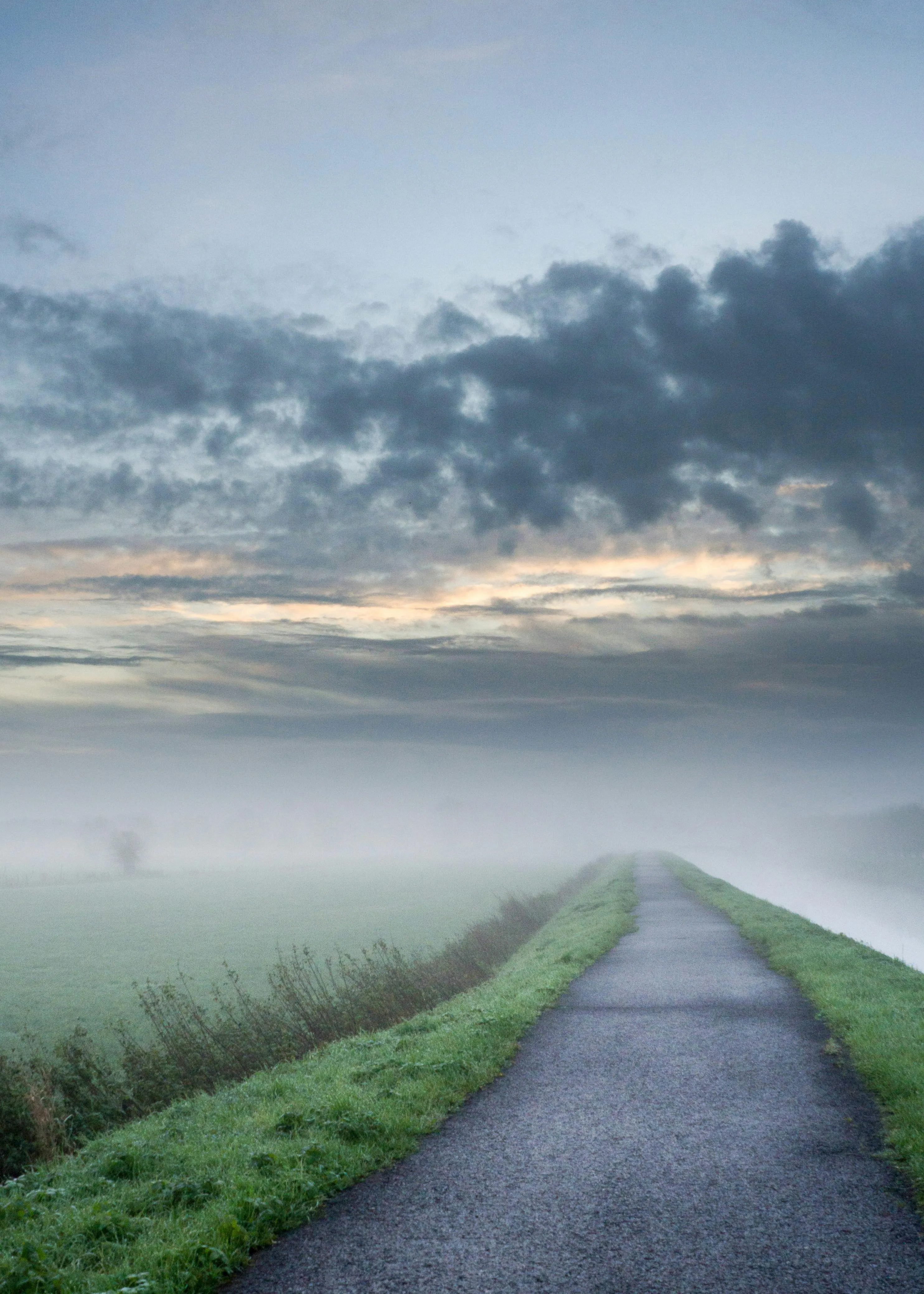 Misty Morning Pathway Leading Into Distance Through Fields