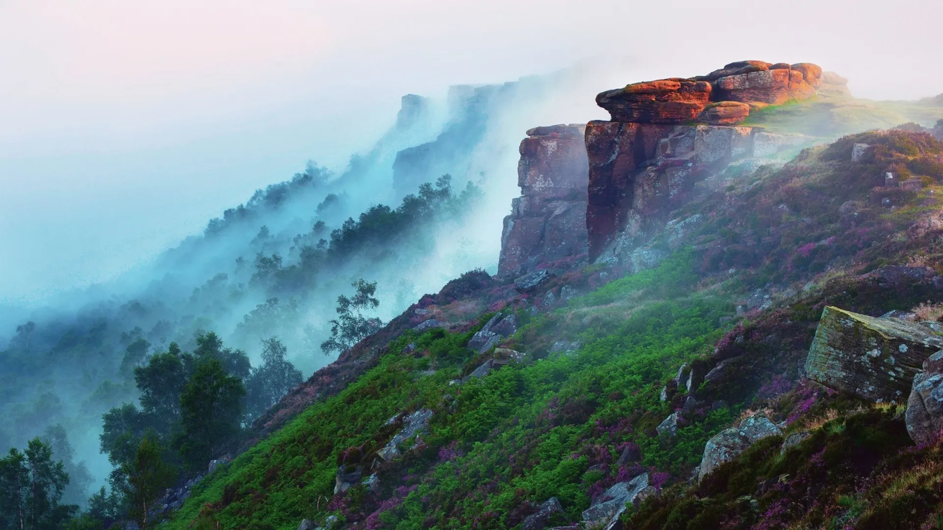 Misty Mountain Range with Lush Green Trees in the Foreground