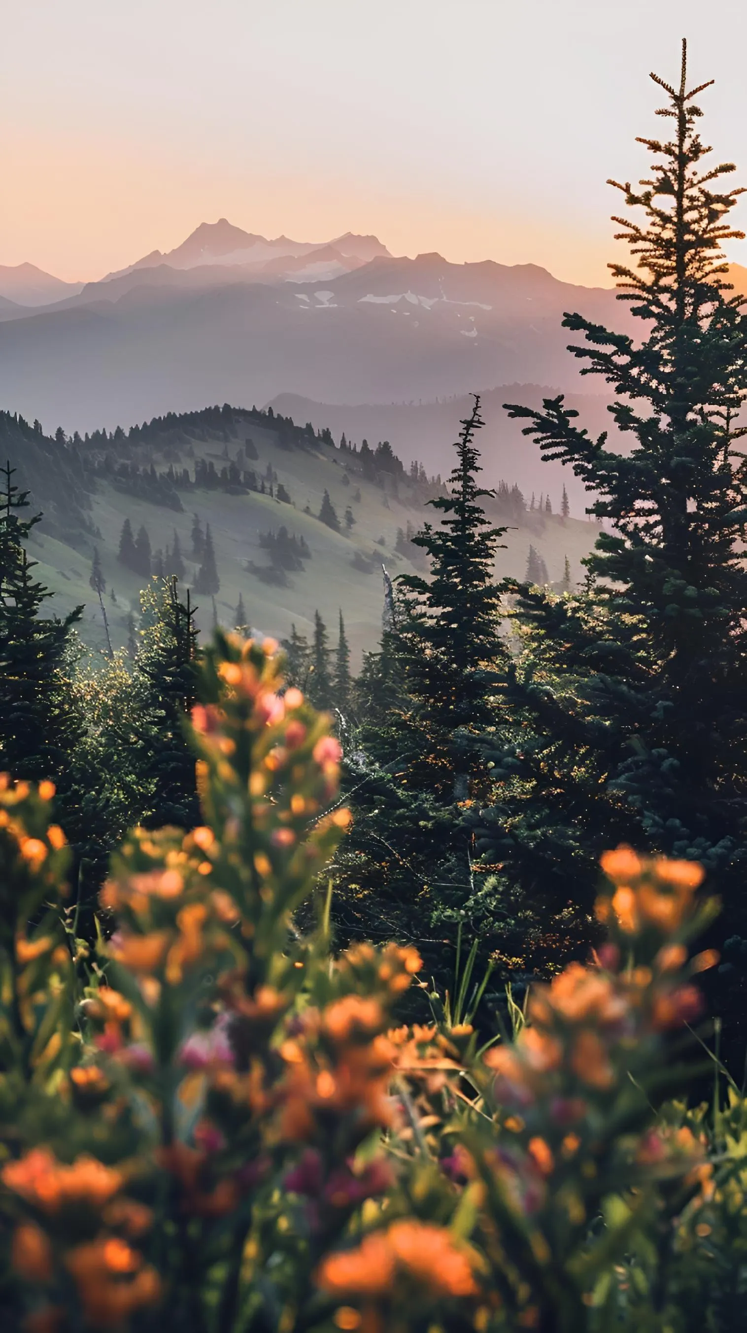Misty Mountain with Orange Trees and Cloudy Sky