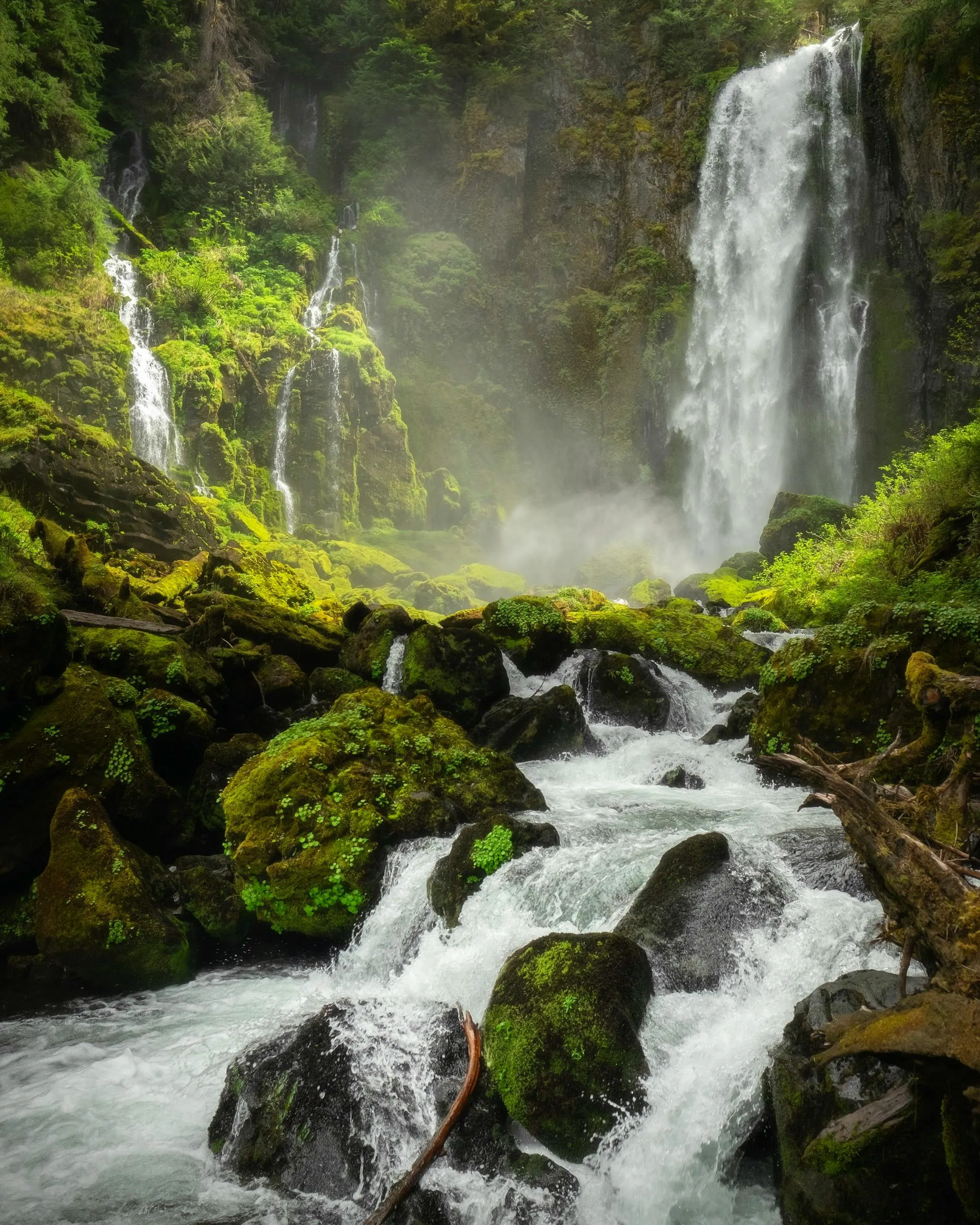 Mossy Forest Stream Cascading Over Rocks and Roots Wallpaper