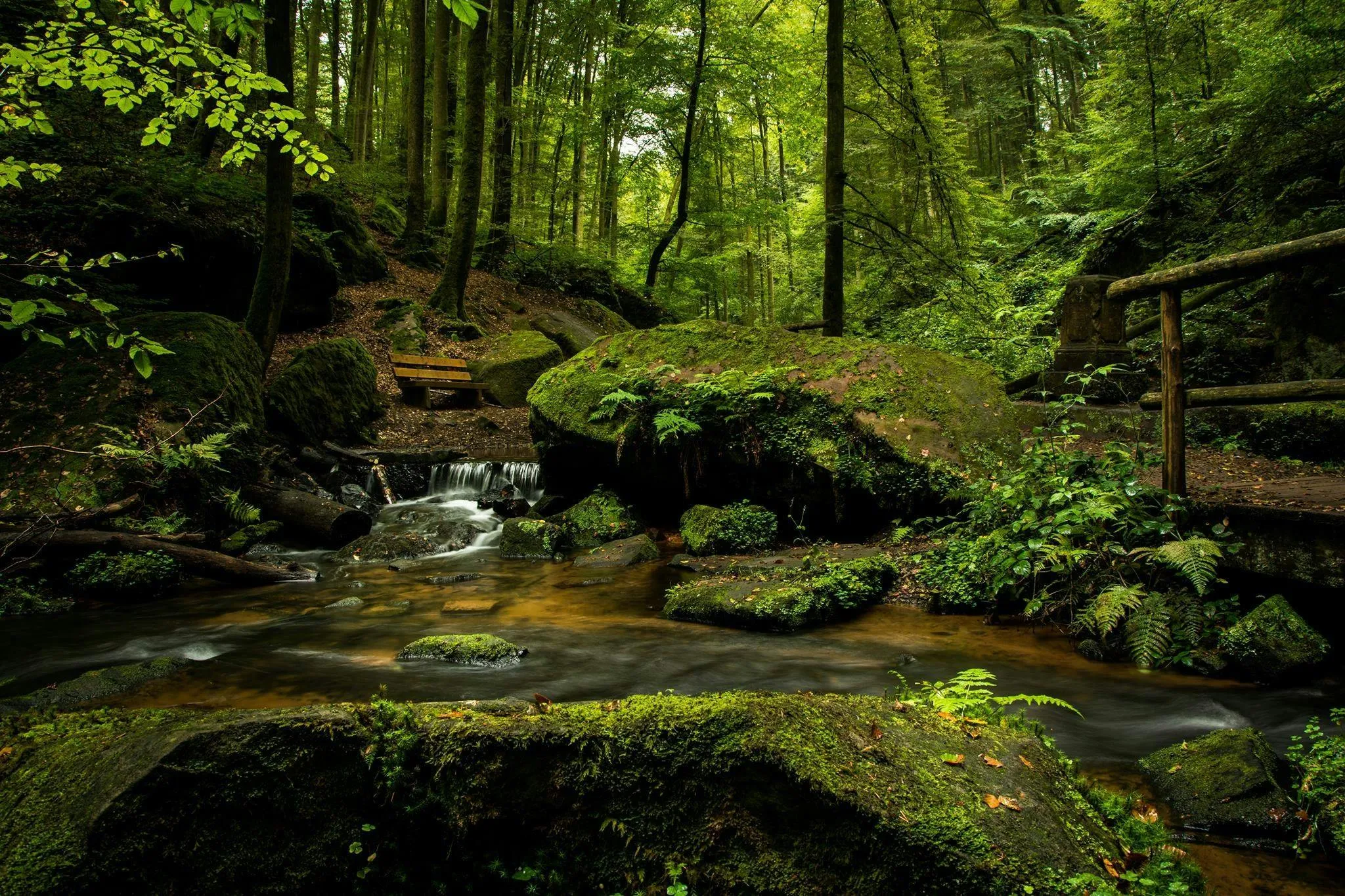 Mossy Rocks and a Calm Stream Deep Inside a Green Forest