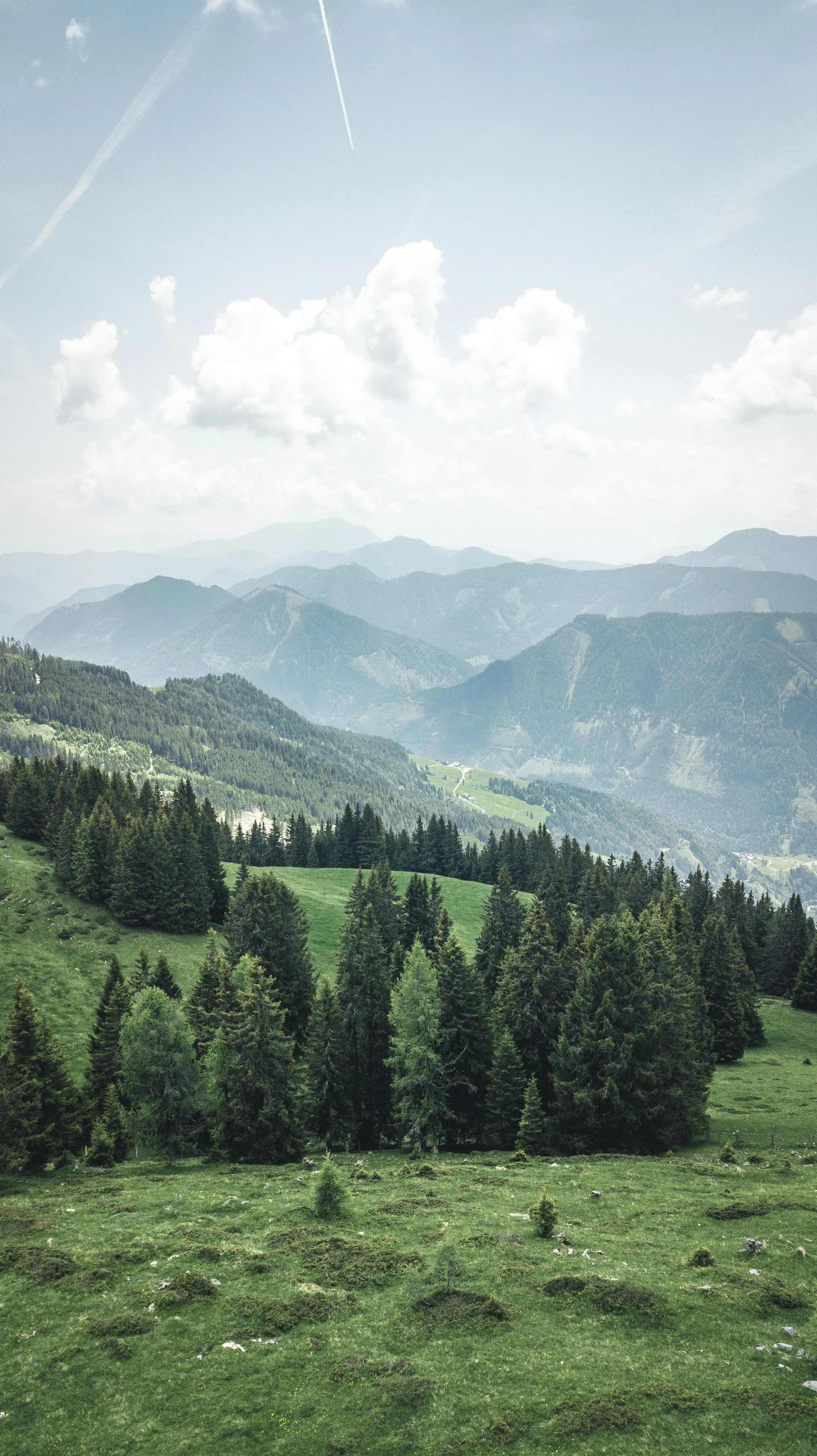 Mountain Grass Field with Forested Hills Under Sunny Skies