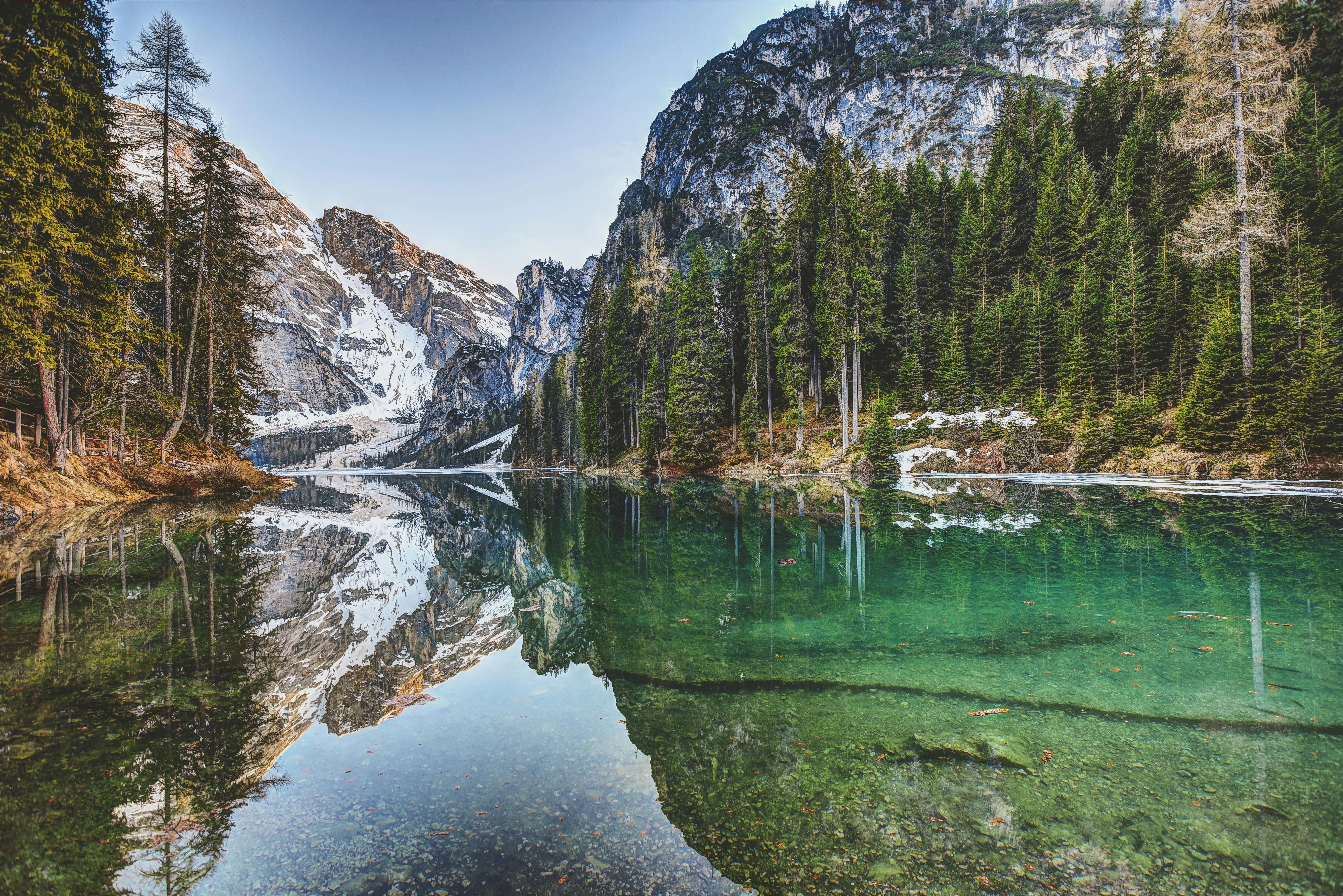Mountain Lake with Clear Water Reflecting Tall Pine Trees