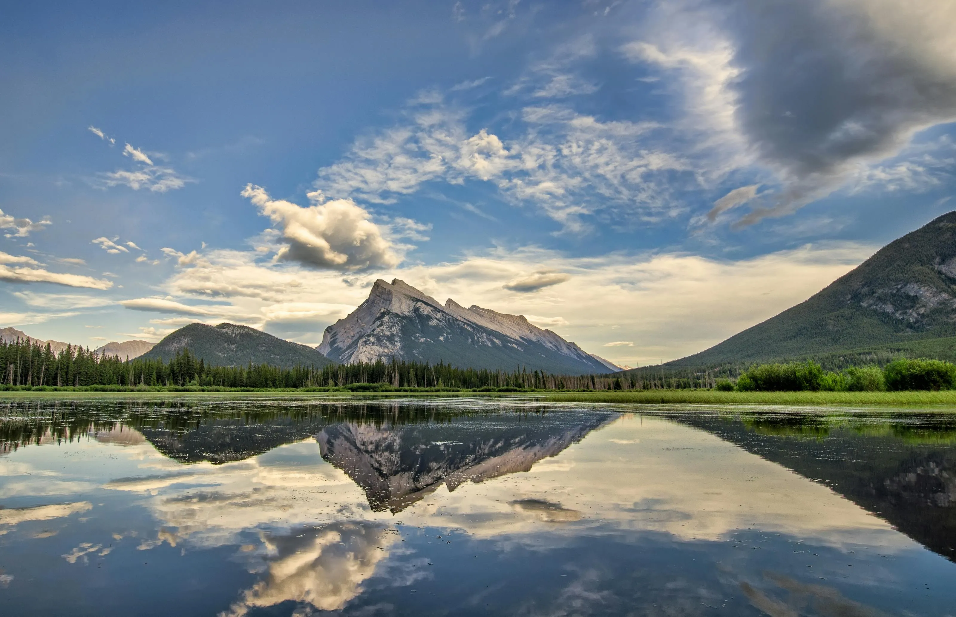 Mountain and Lake Reflection Beside the Lush Forest Edge
