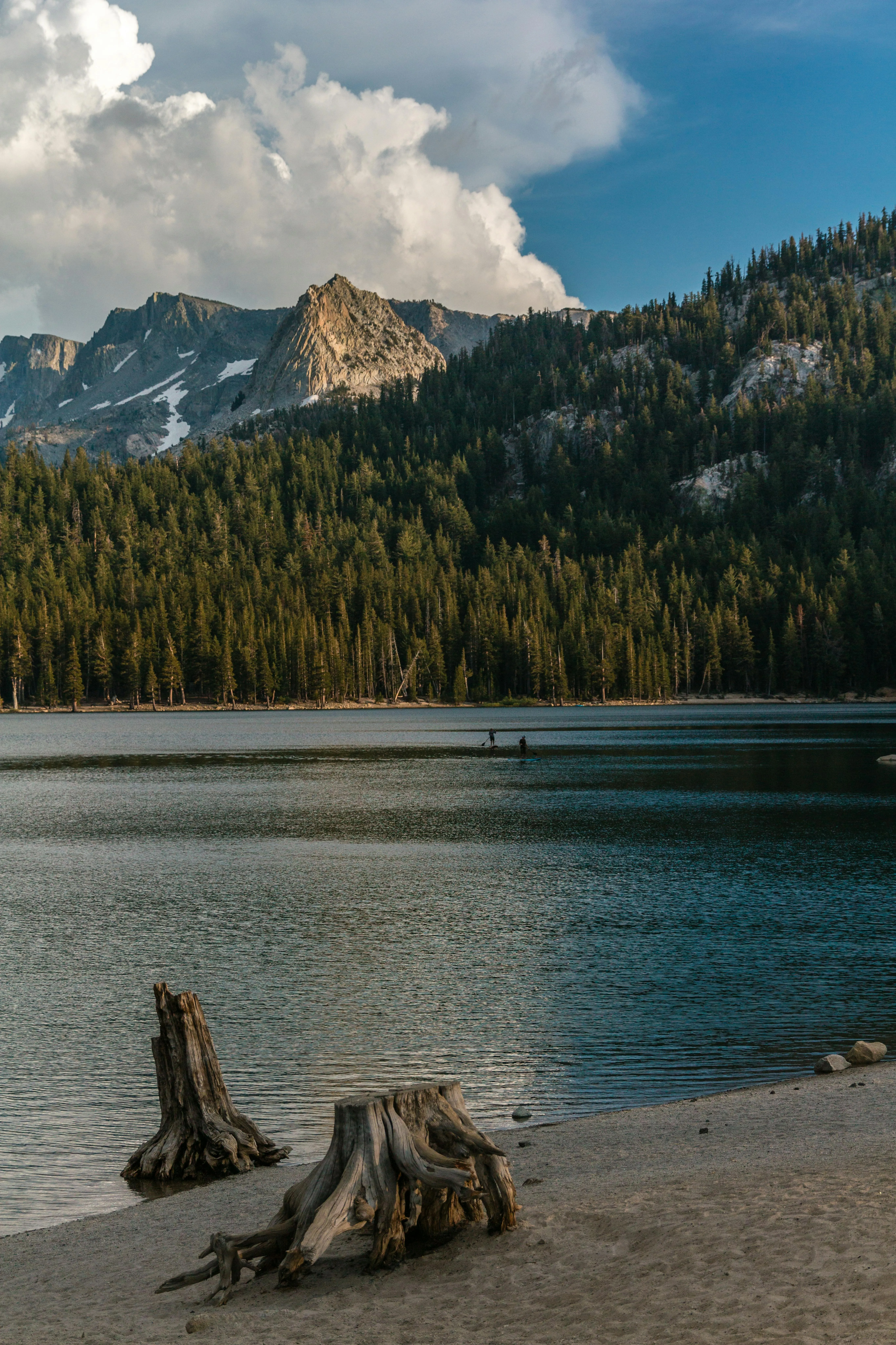 Mountain Lake Shore with Tree Stumps and Rugged Peaks