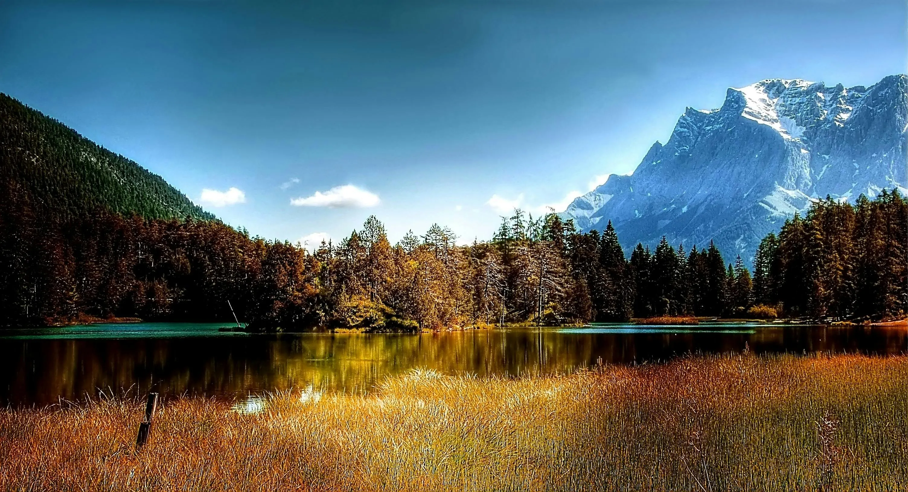 Mountain Lake Surrounded by Forest and Distant Snowy Peaks