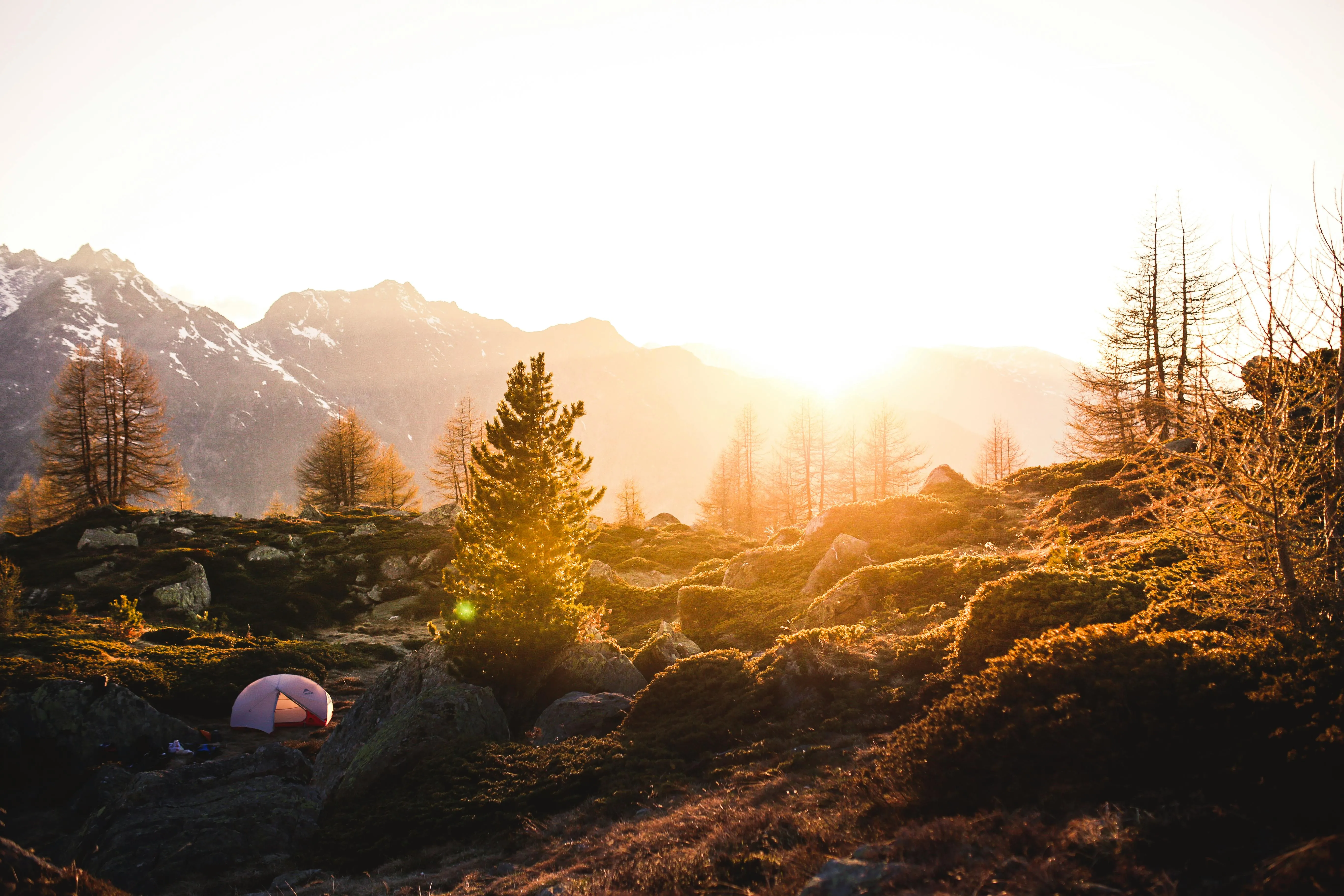 Mountain Landscape at Sunrise with Light Fog and Trees