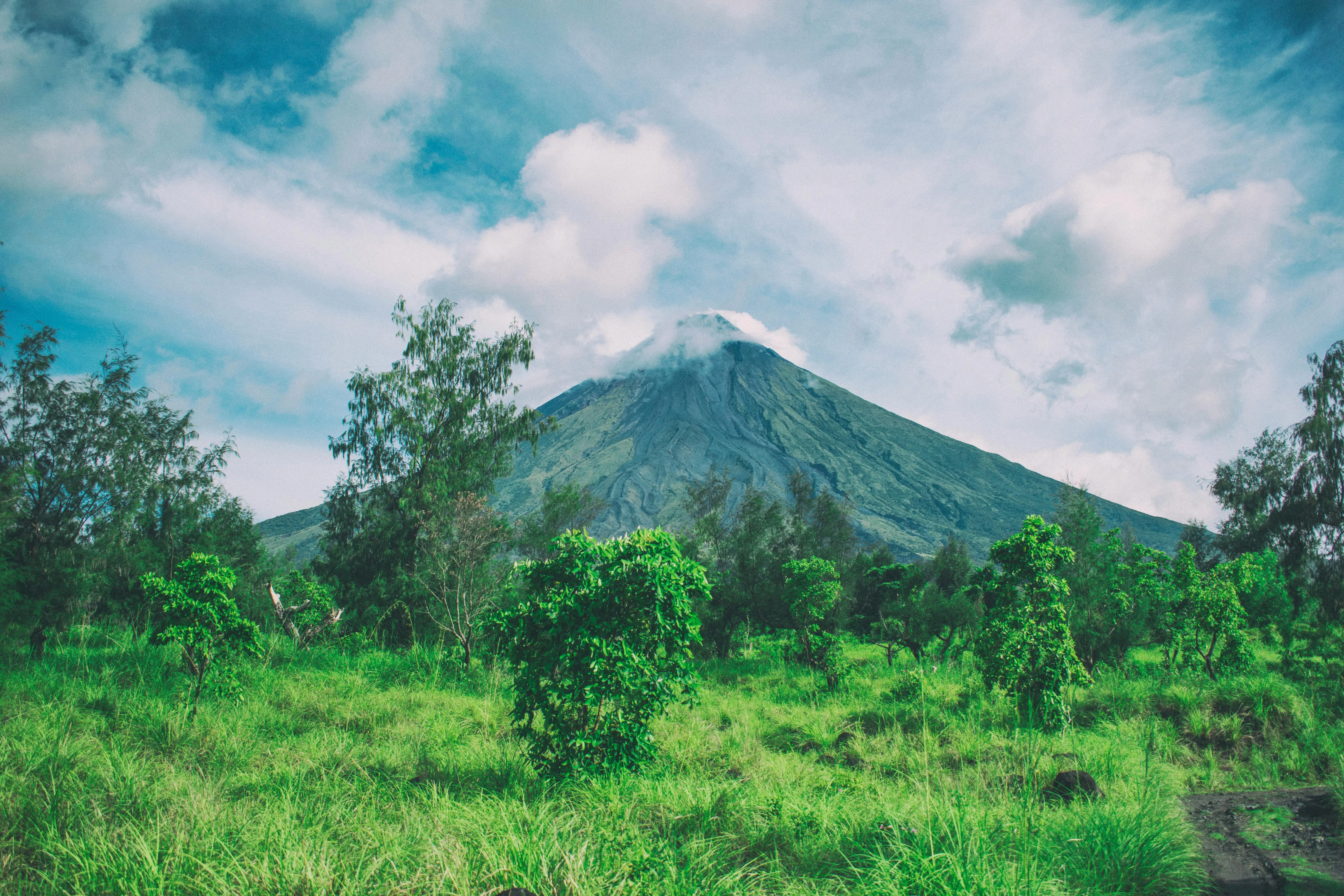 Mountain Landscape with Green Forest and Bright Blue Sky