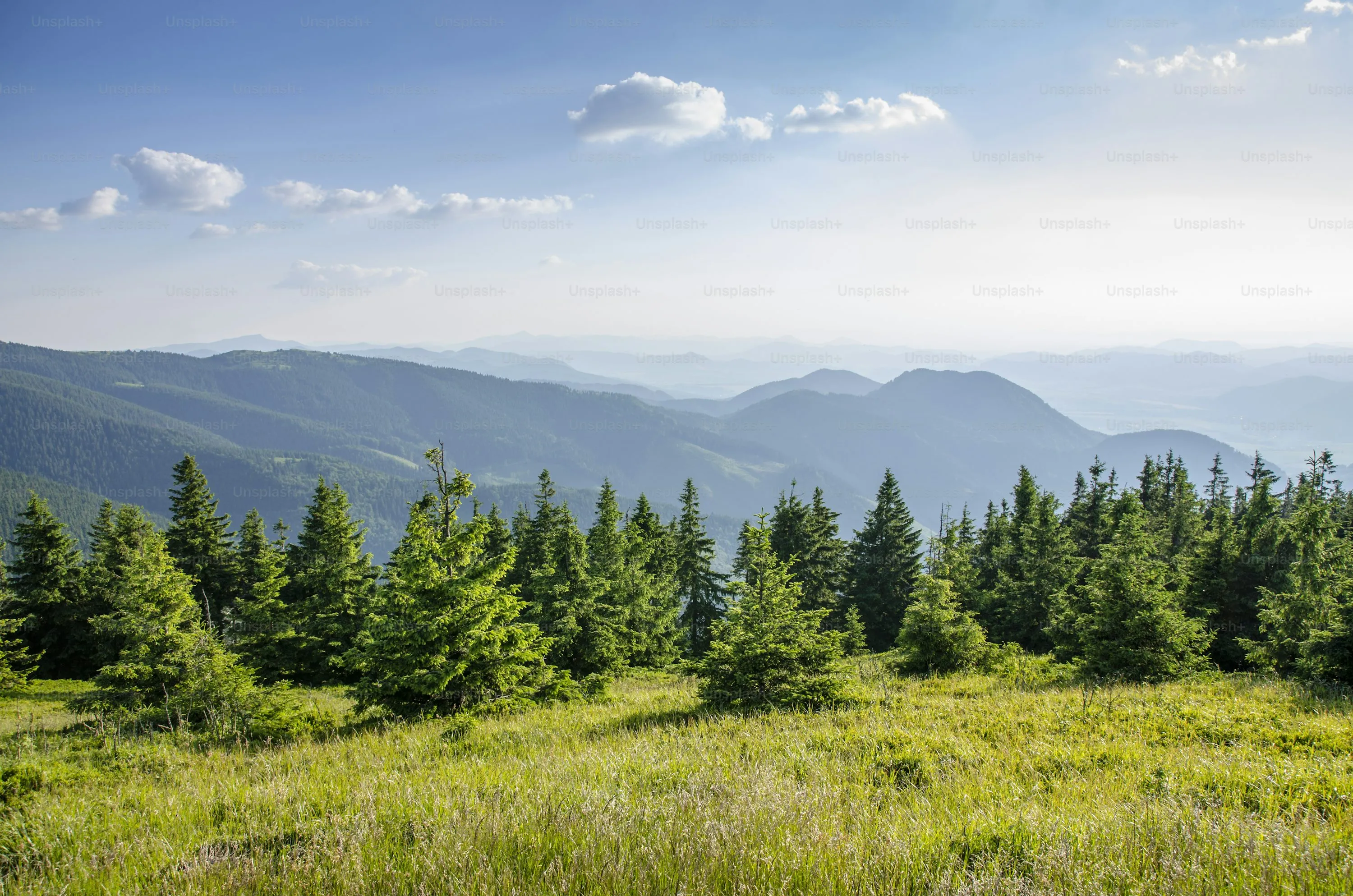 Mountain Range with Green Forest and Clear Blue Sky Free 4K