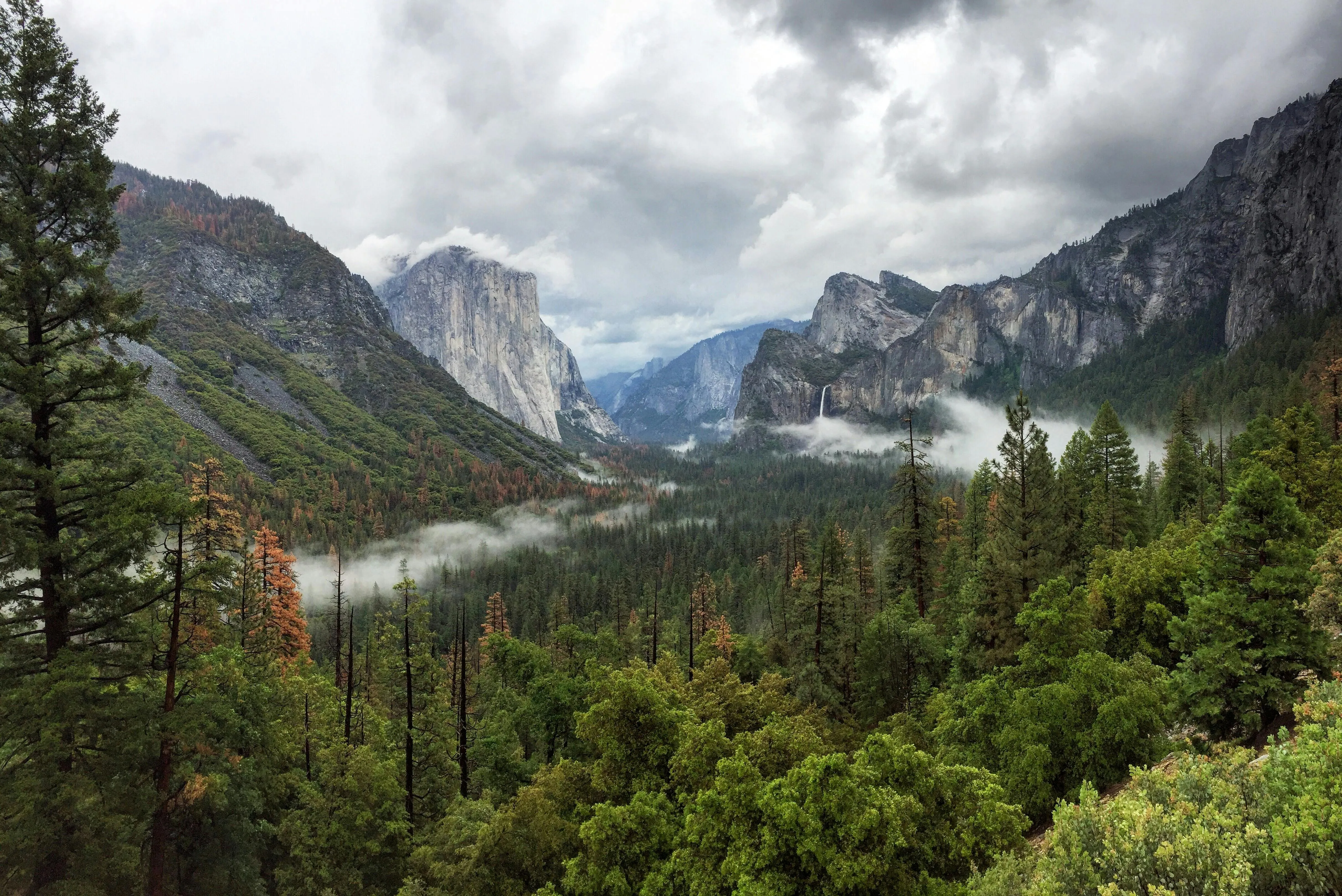Mountain Valley with Forest and Cloudy Sky in the Distance