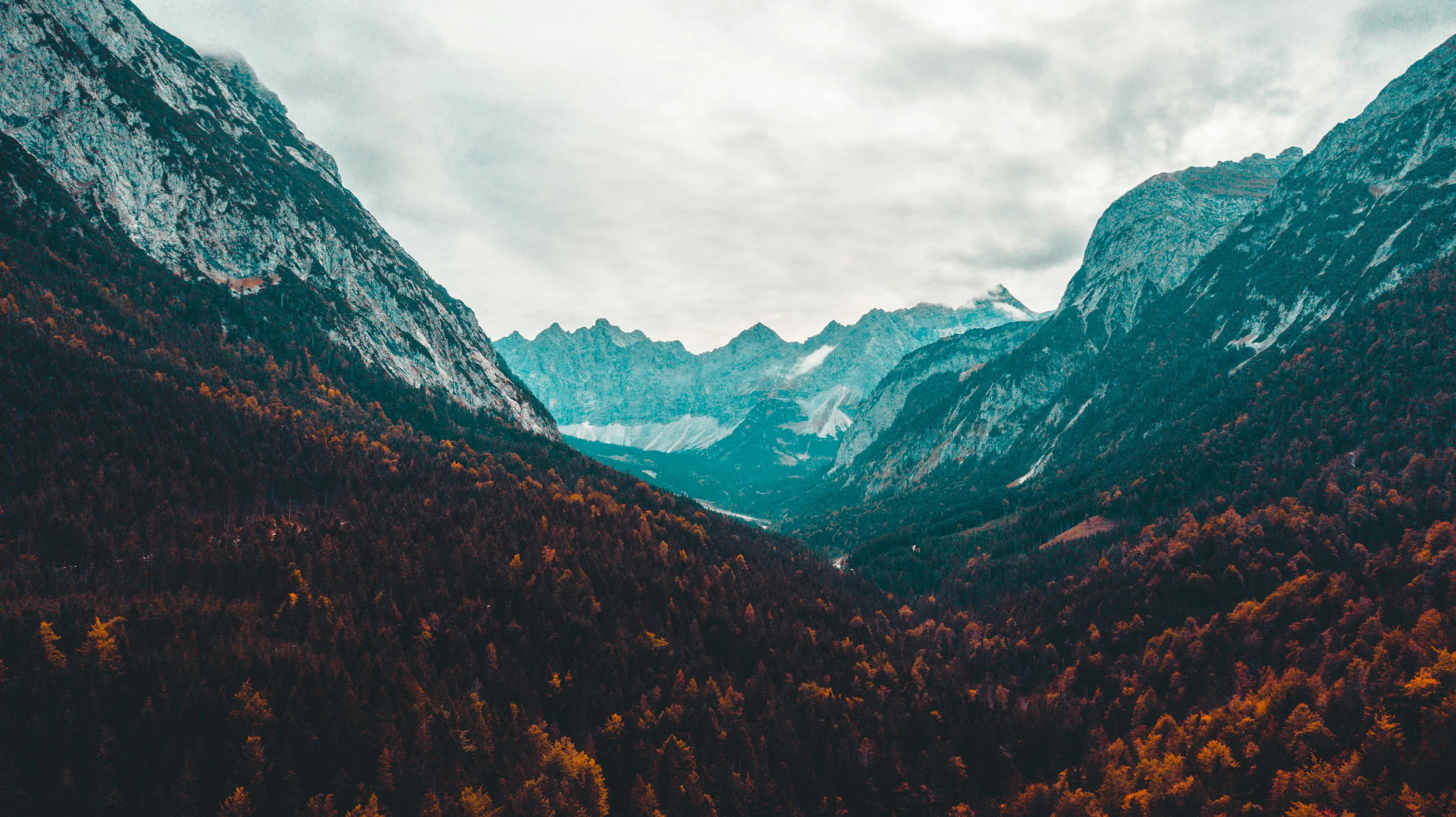 Mountain Valley with Forest in Fall Colors Under Cloudy Sky