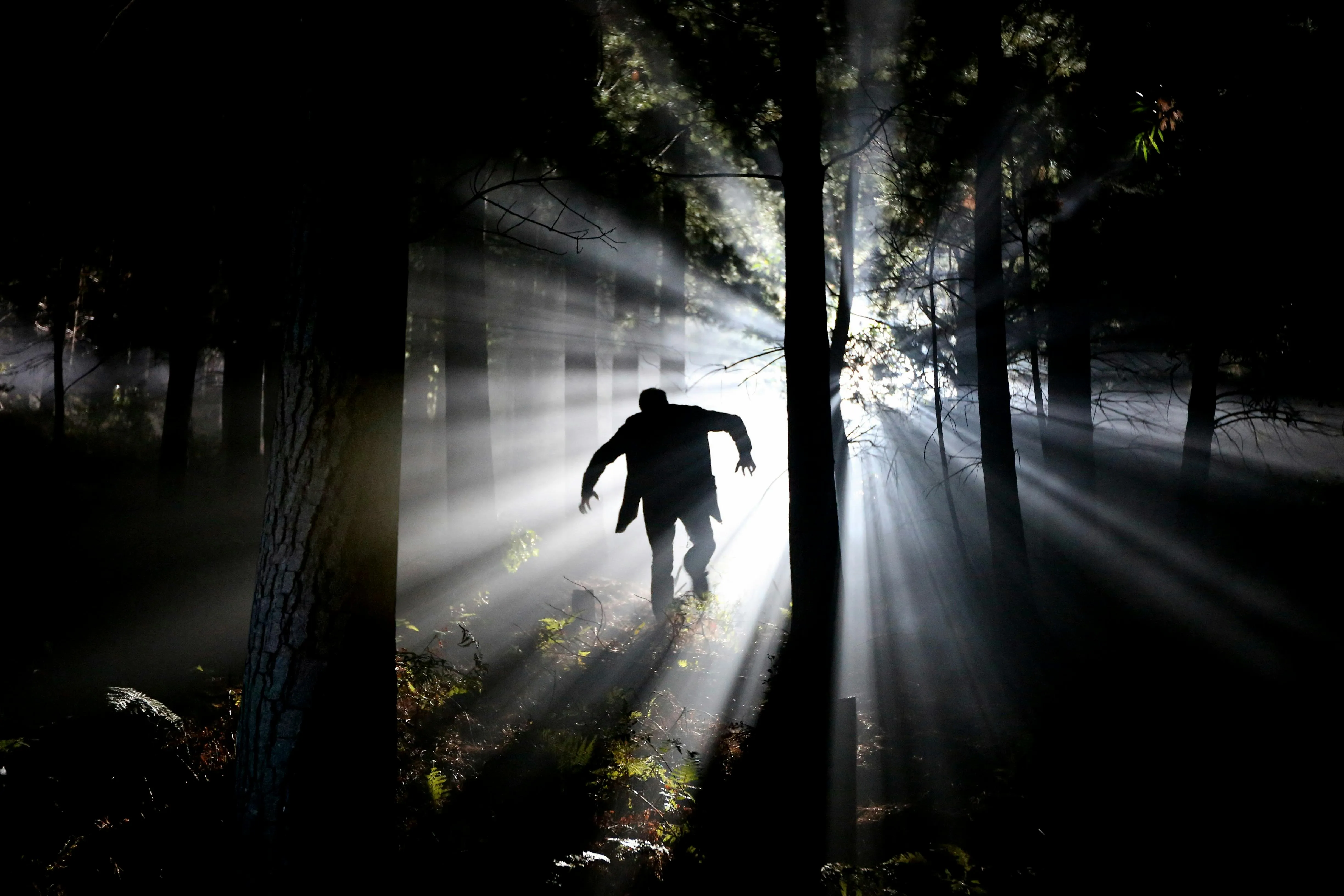Mysterious Figure Walking Through Beams of Light in Forest
