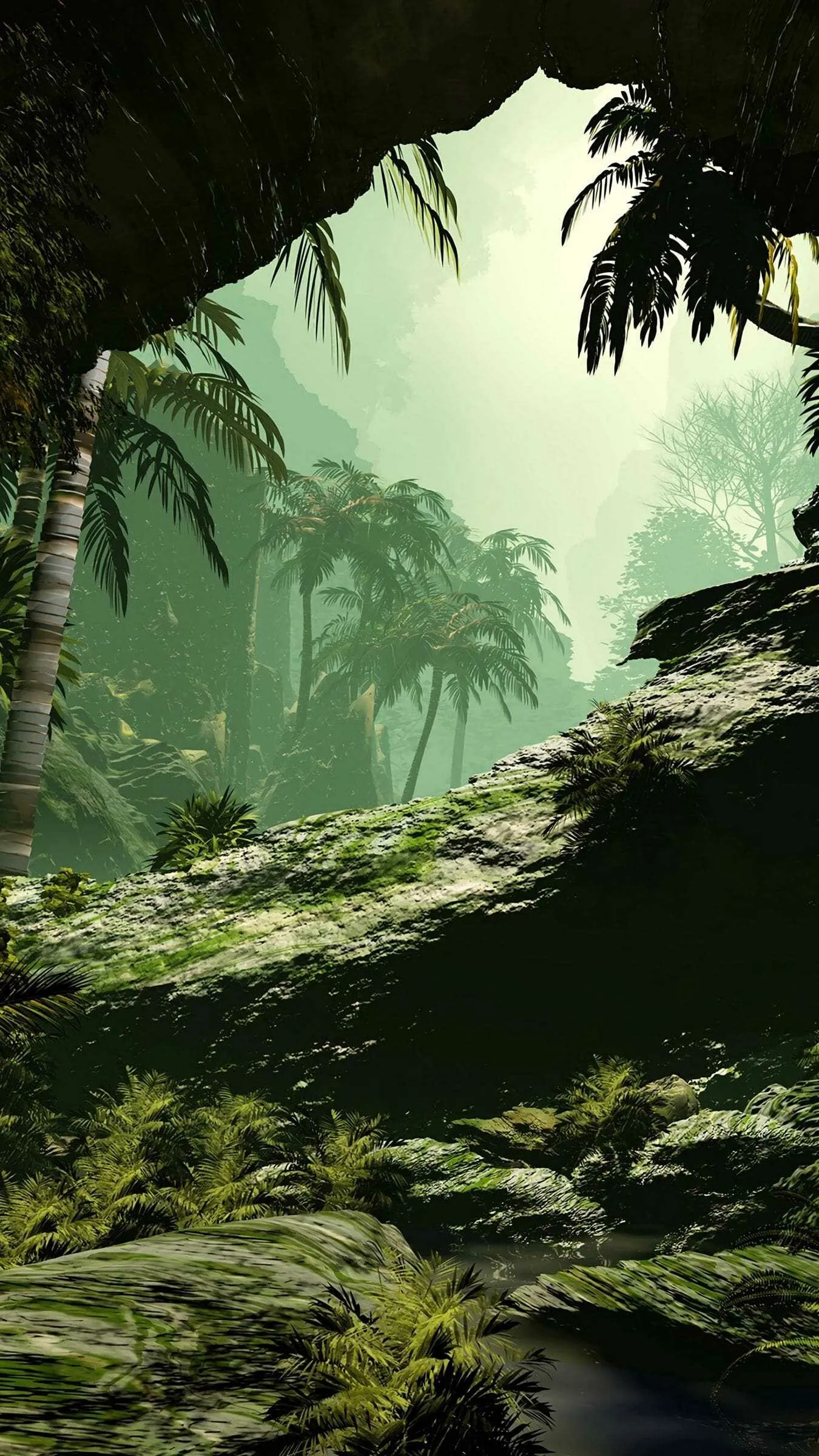 Mysterious Forest with Green Mist and Tall Trees Wallpaper