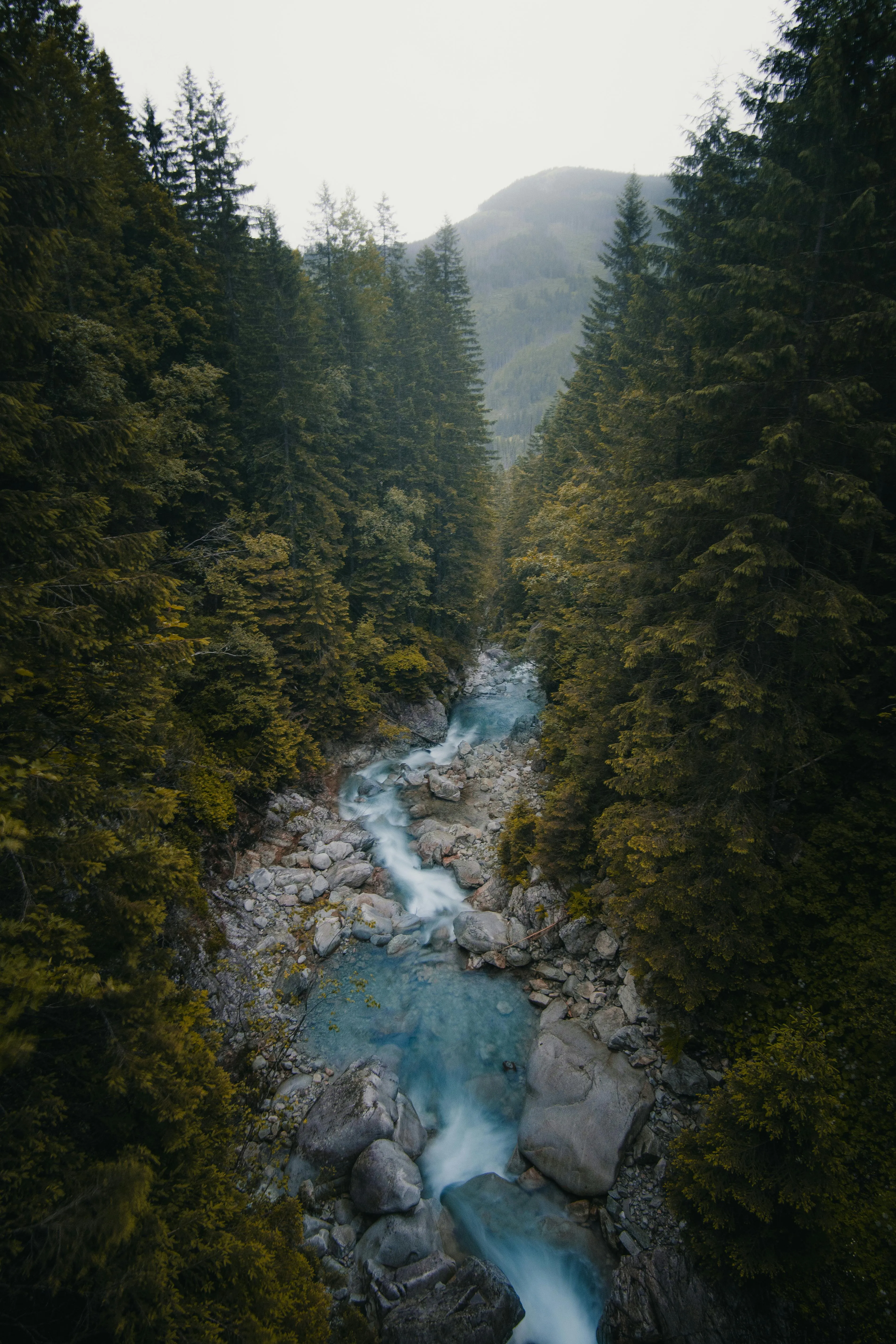 Narrow River Flowing Through a Mountain Forest with Mist