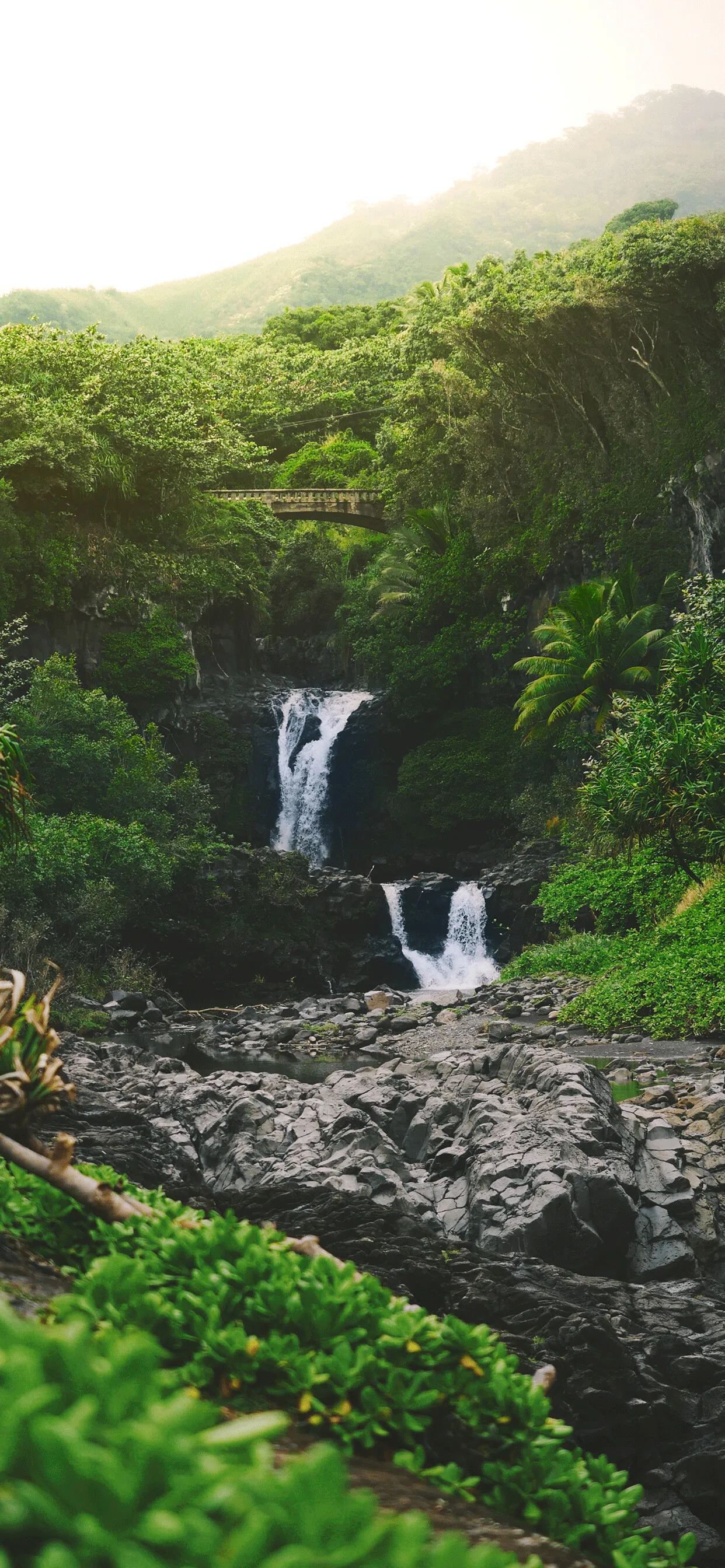 Narrow Waterfall Flows Through Rocks in a Green Forest