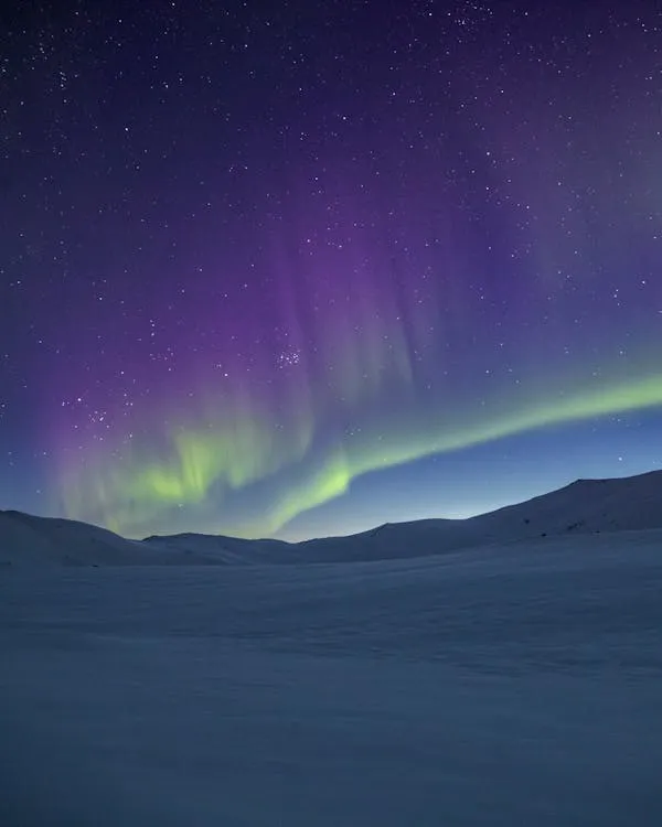 Northern Lights Glowing Above a Snowy Landscape Image