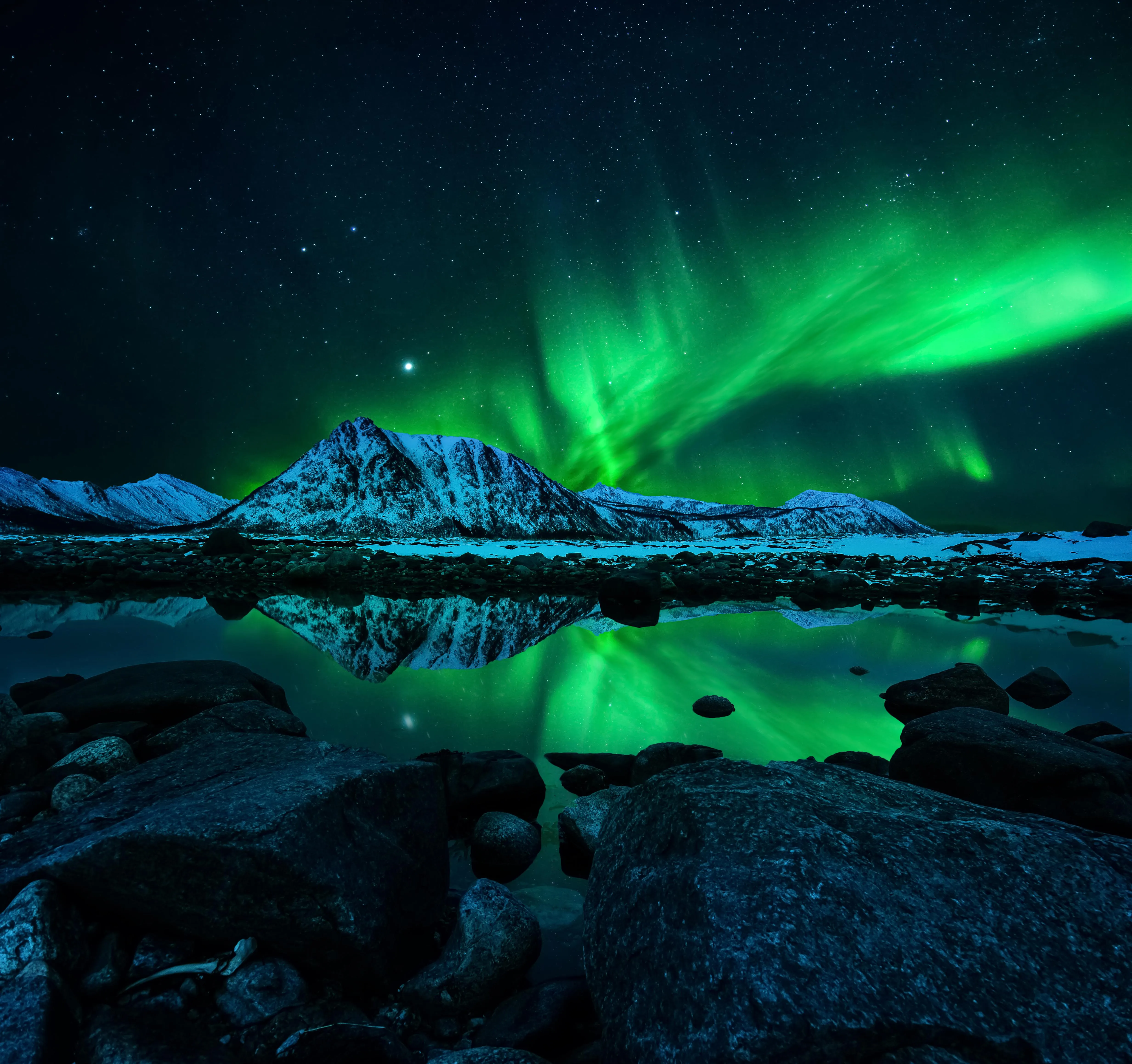 Northern Lights Over Snowy Forest in Winter Night image