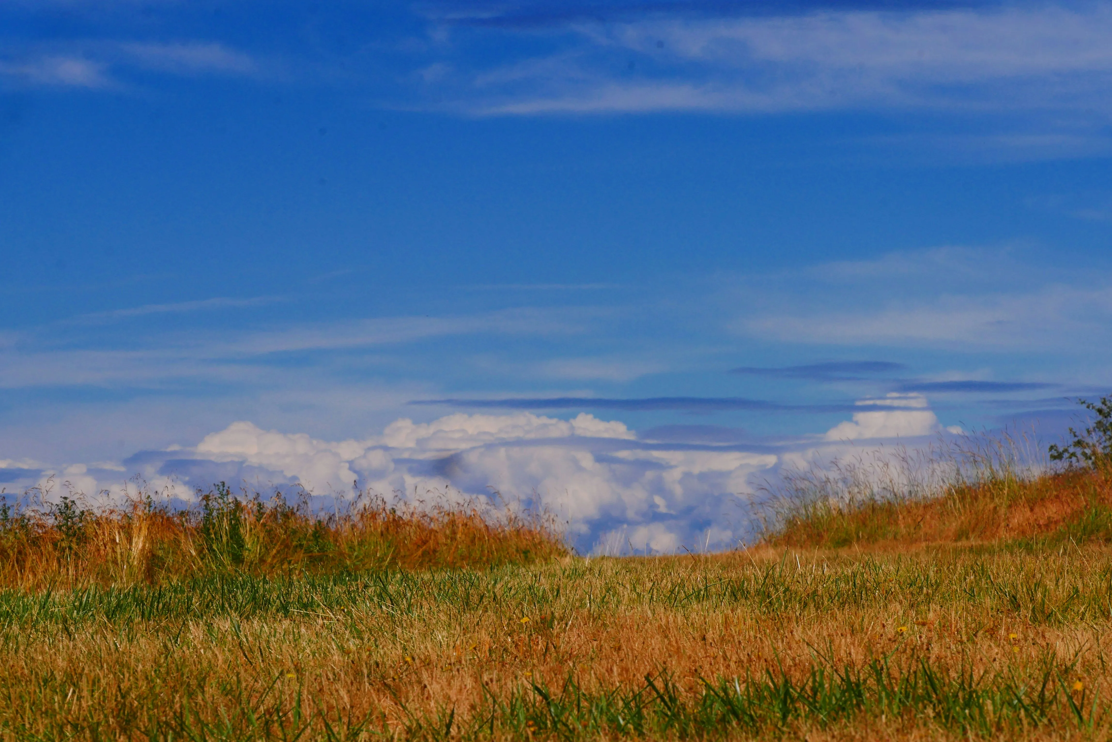 Open Field with Mountains and Puffy White Clouds 4K Image