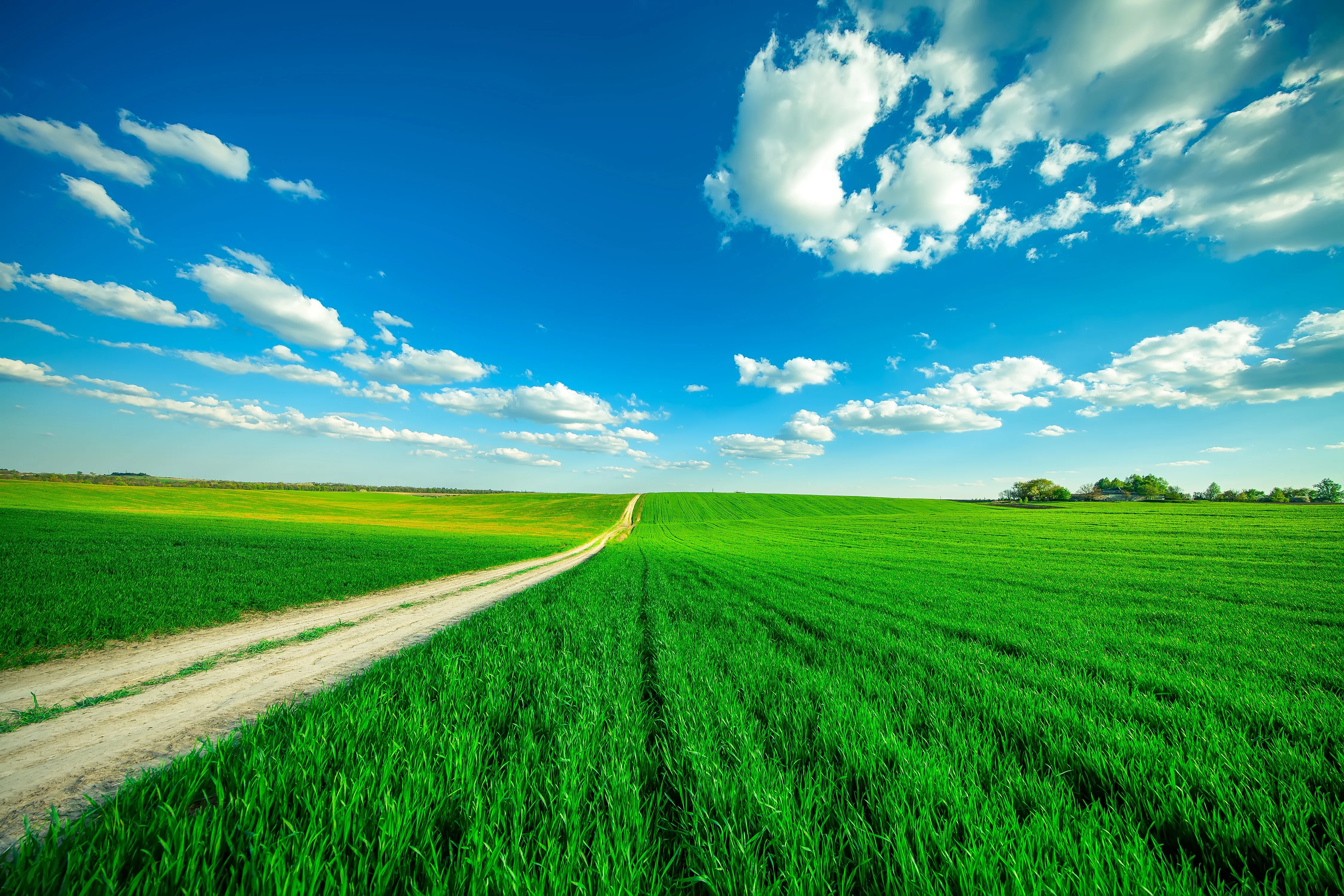 Open Green Field Beneath Clear Sky with Light Clouds