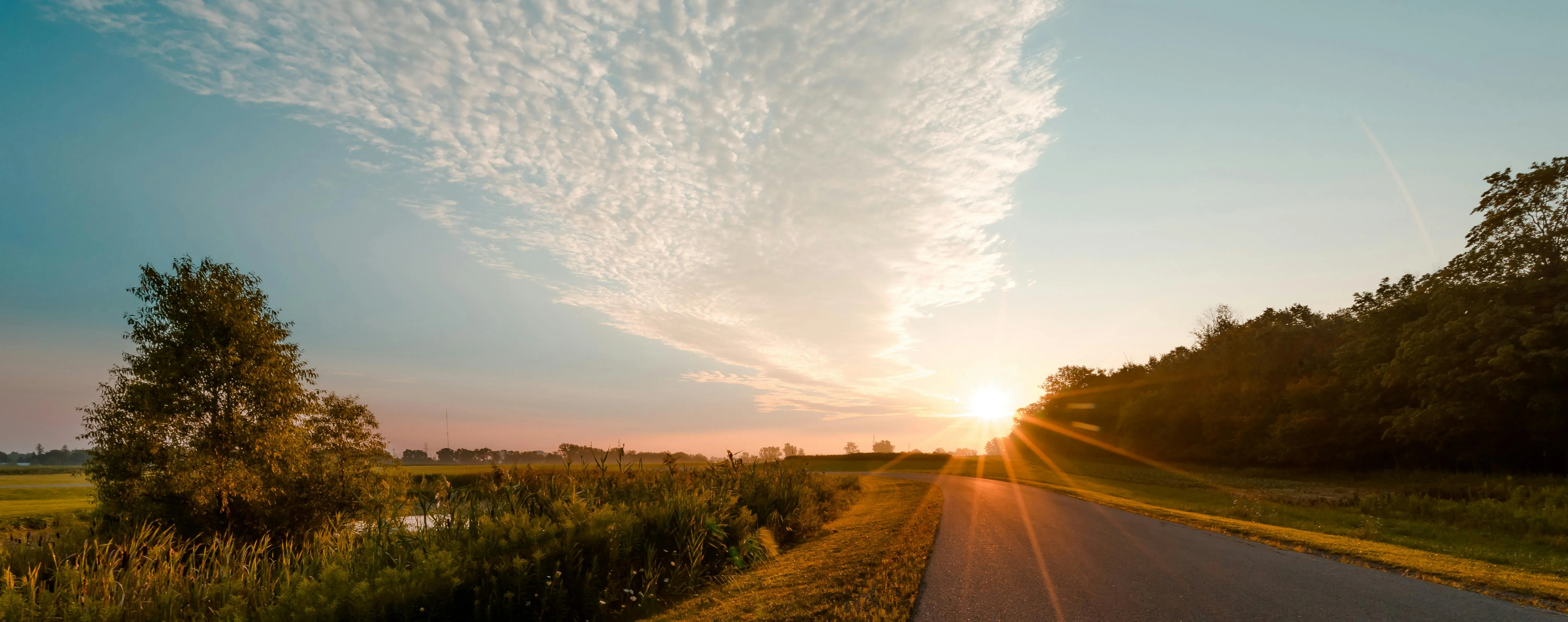 Open Road Bordered by Forest Under a Blue Sky Free Wallpaper