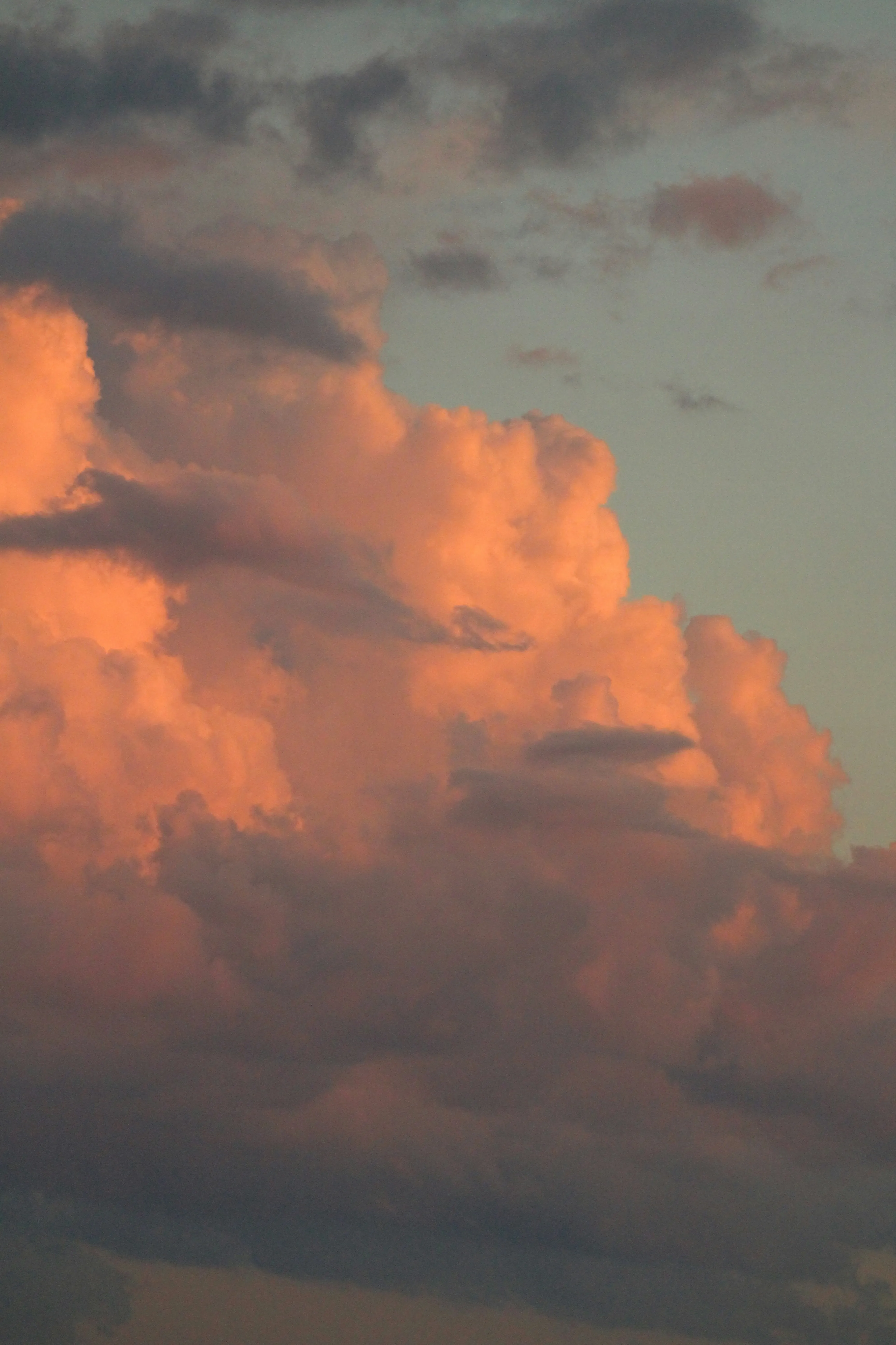 Orange Cloud Formation with Soft Lighting Against Blue Sky