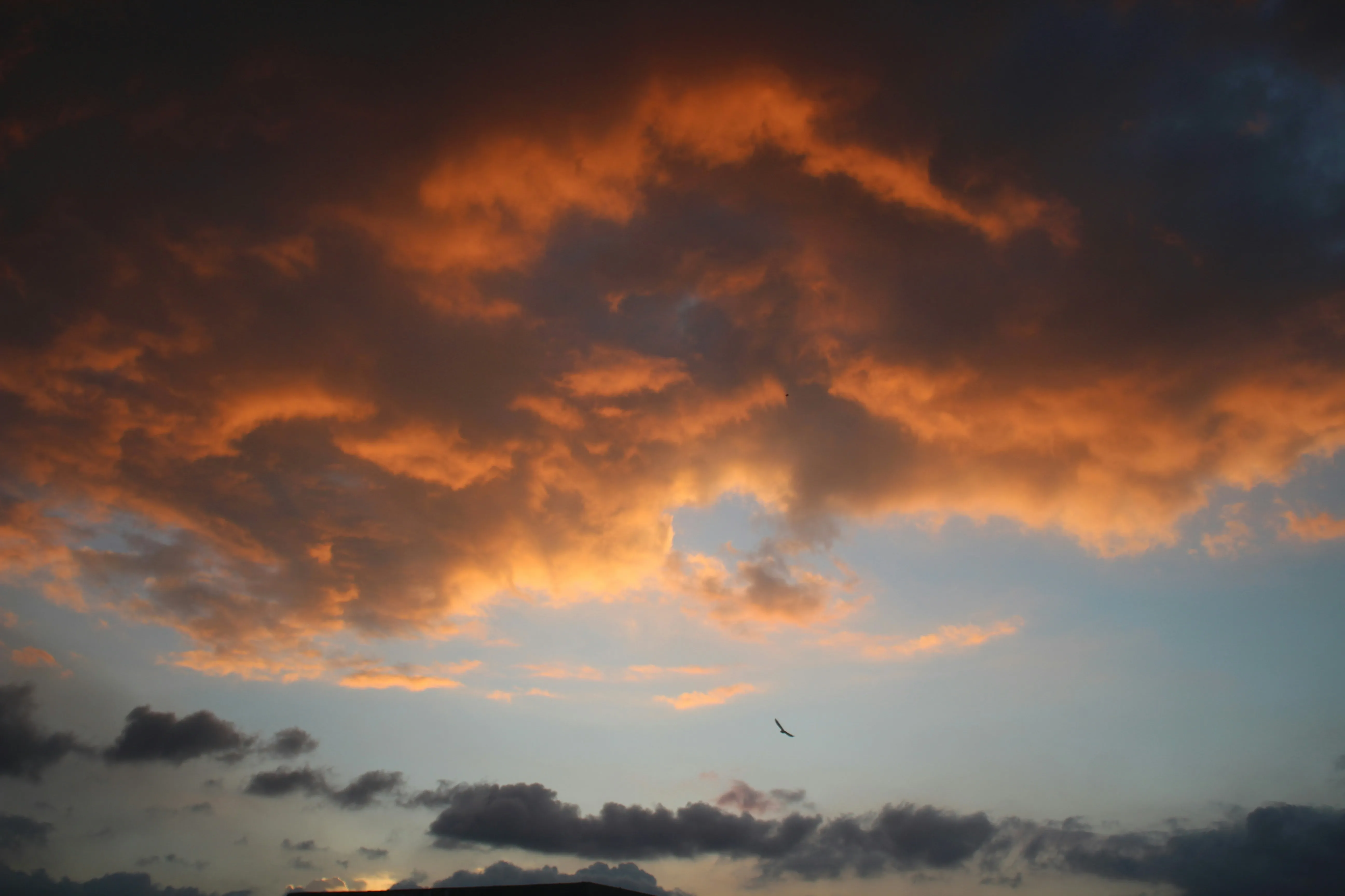 Orange Sunset Clouds Above Calm Horizon at Dusk HD Photo