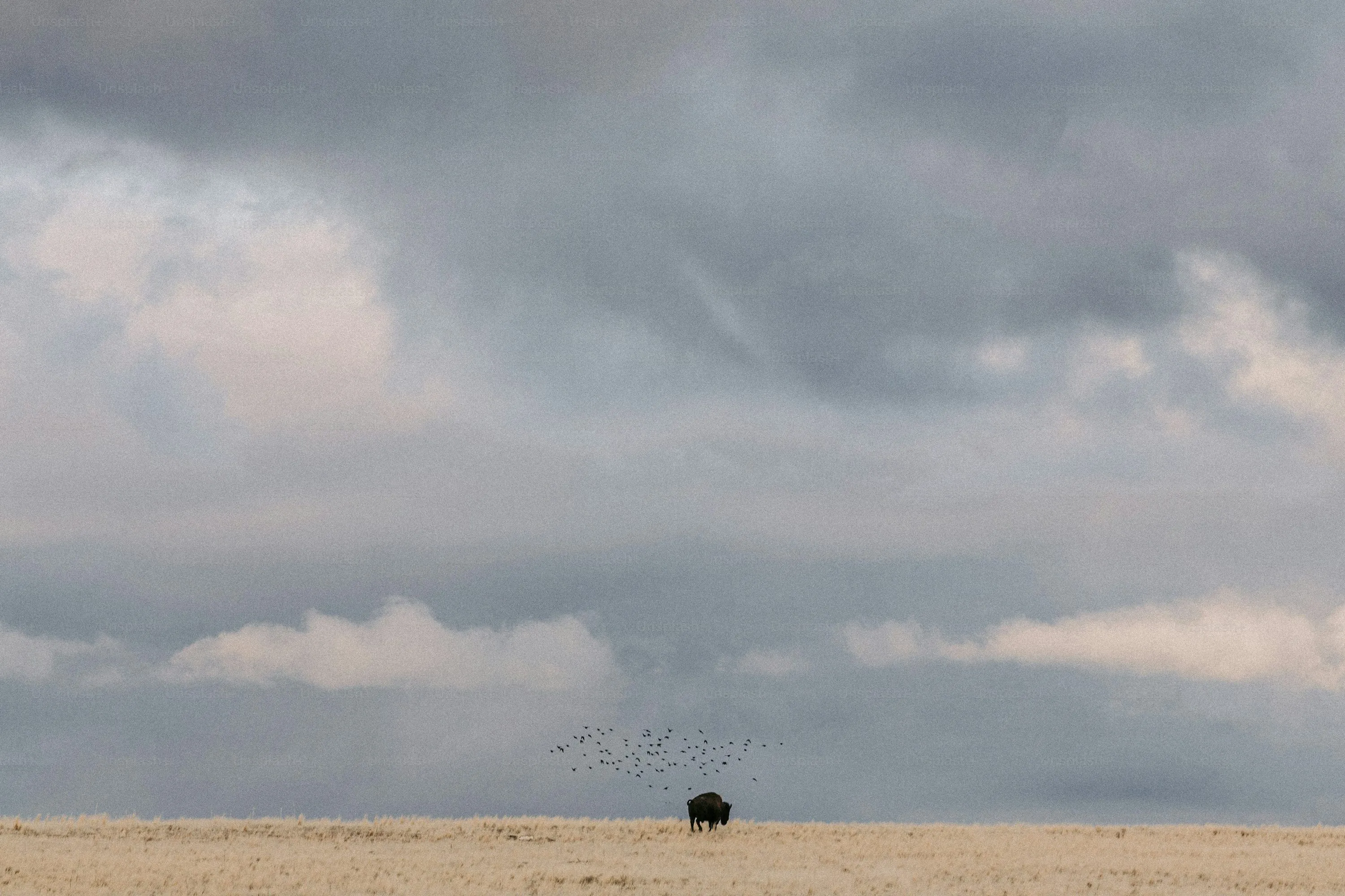 Overcast Sky Above Quiet Beach with Soft Gray Clouds
