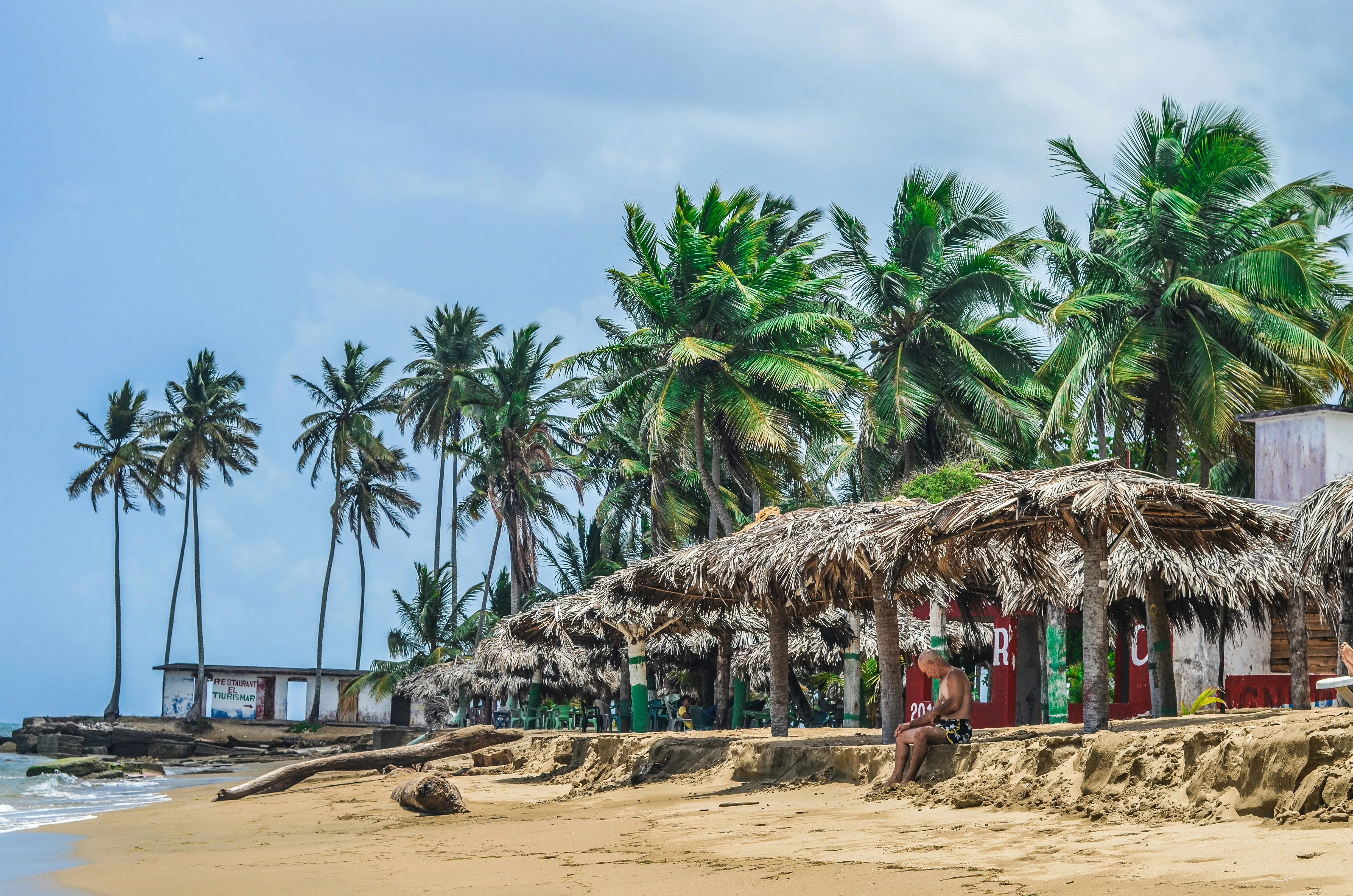 Palm Trees Lining a Tropical Beach with Blue Sky Wallpaper