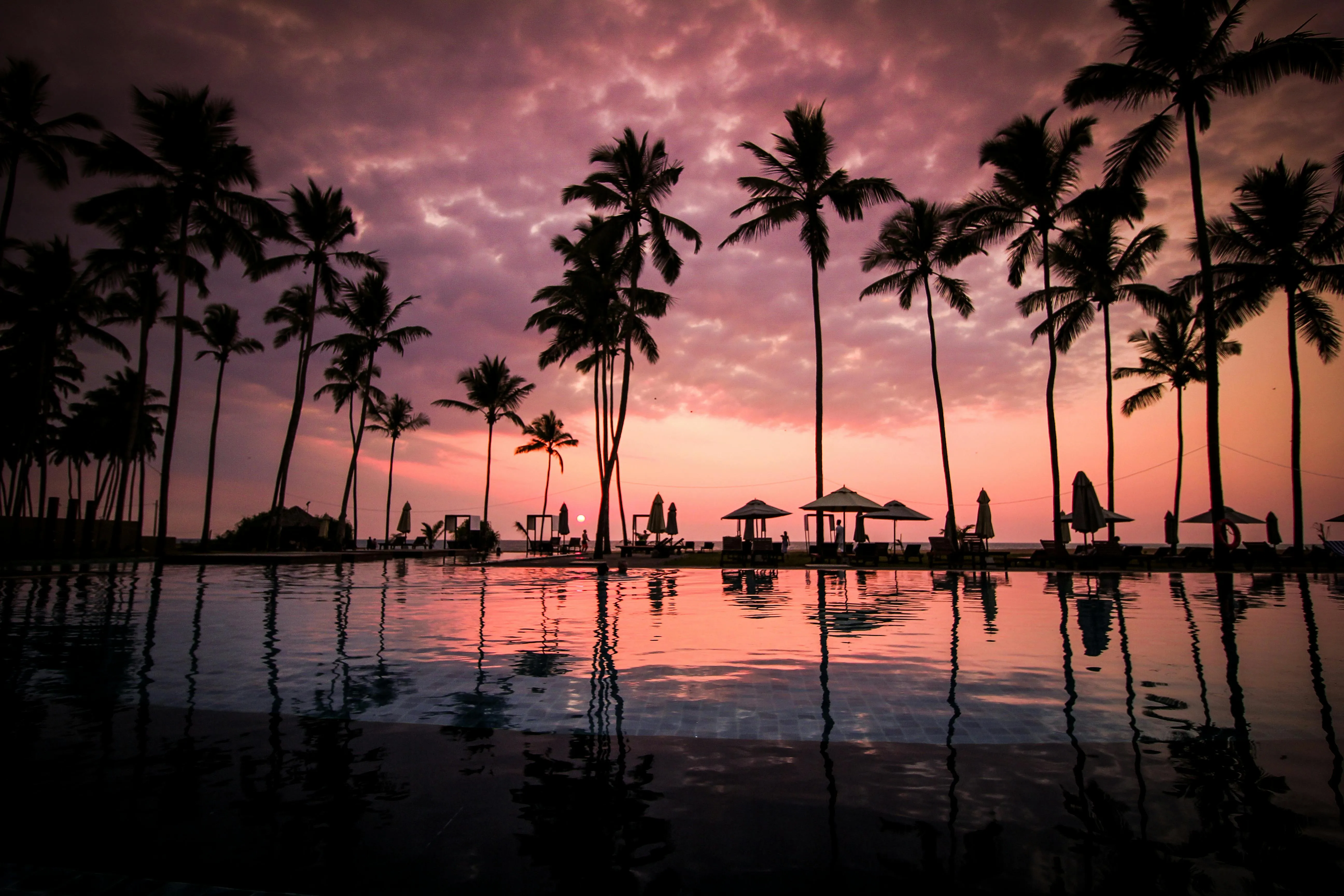 Palm Trees Silhouetted Against Pink and Purple Sunset Sky