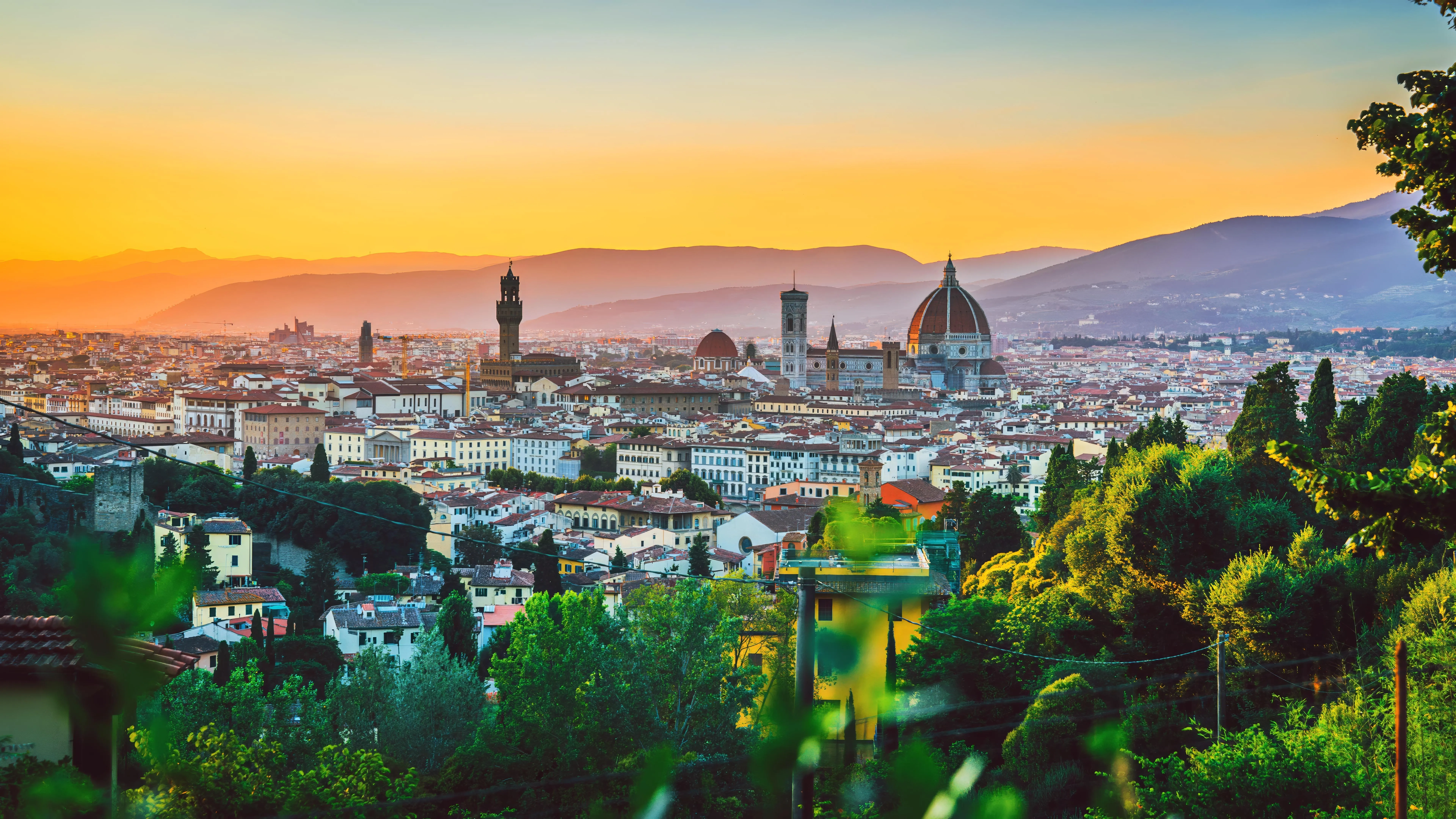 Palm trees silhouetted at sunrise beach view HD Wallpaper