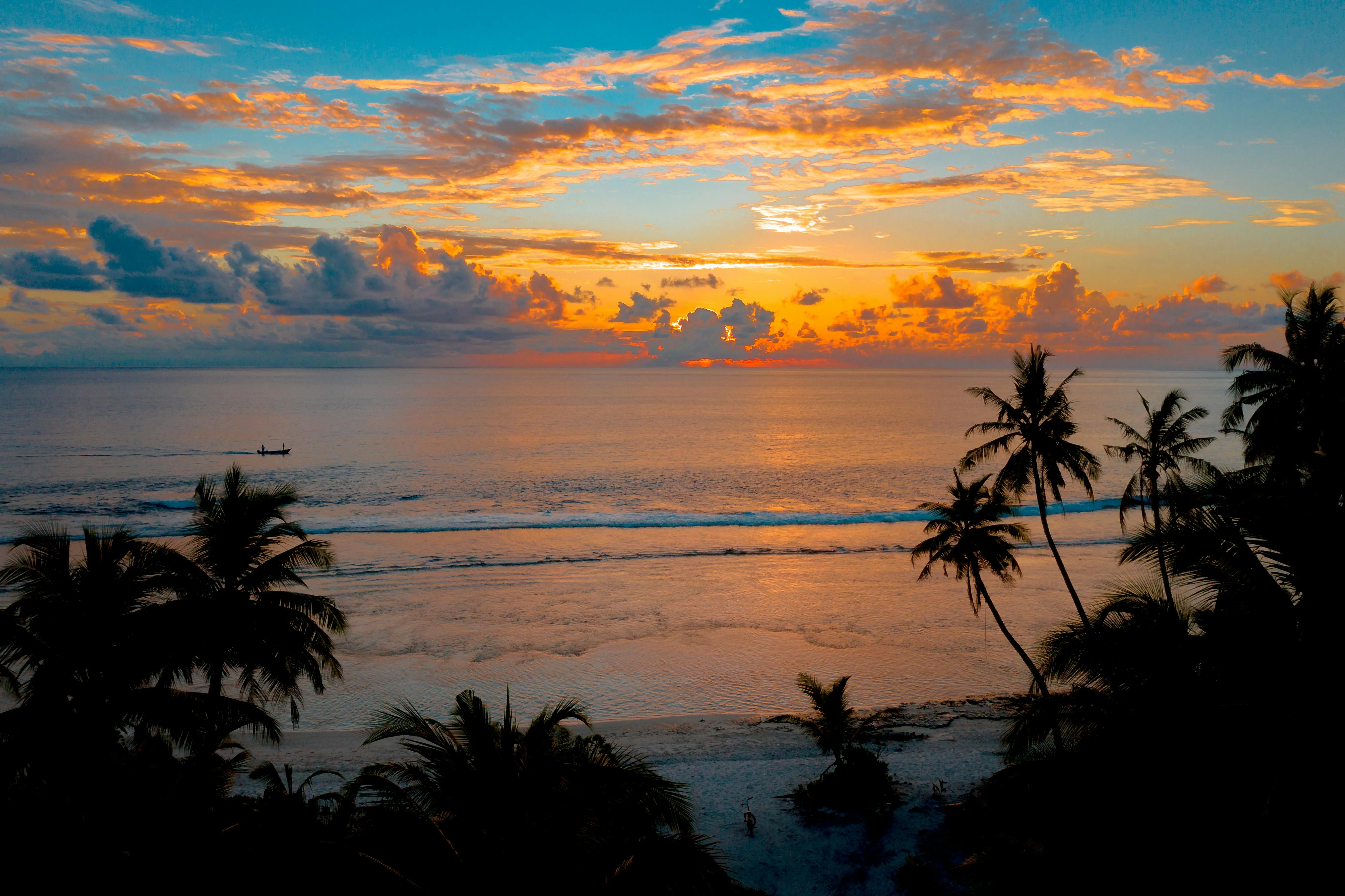 Palm Trees Silhouetted By Golden Clouds During Sunset