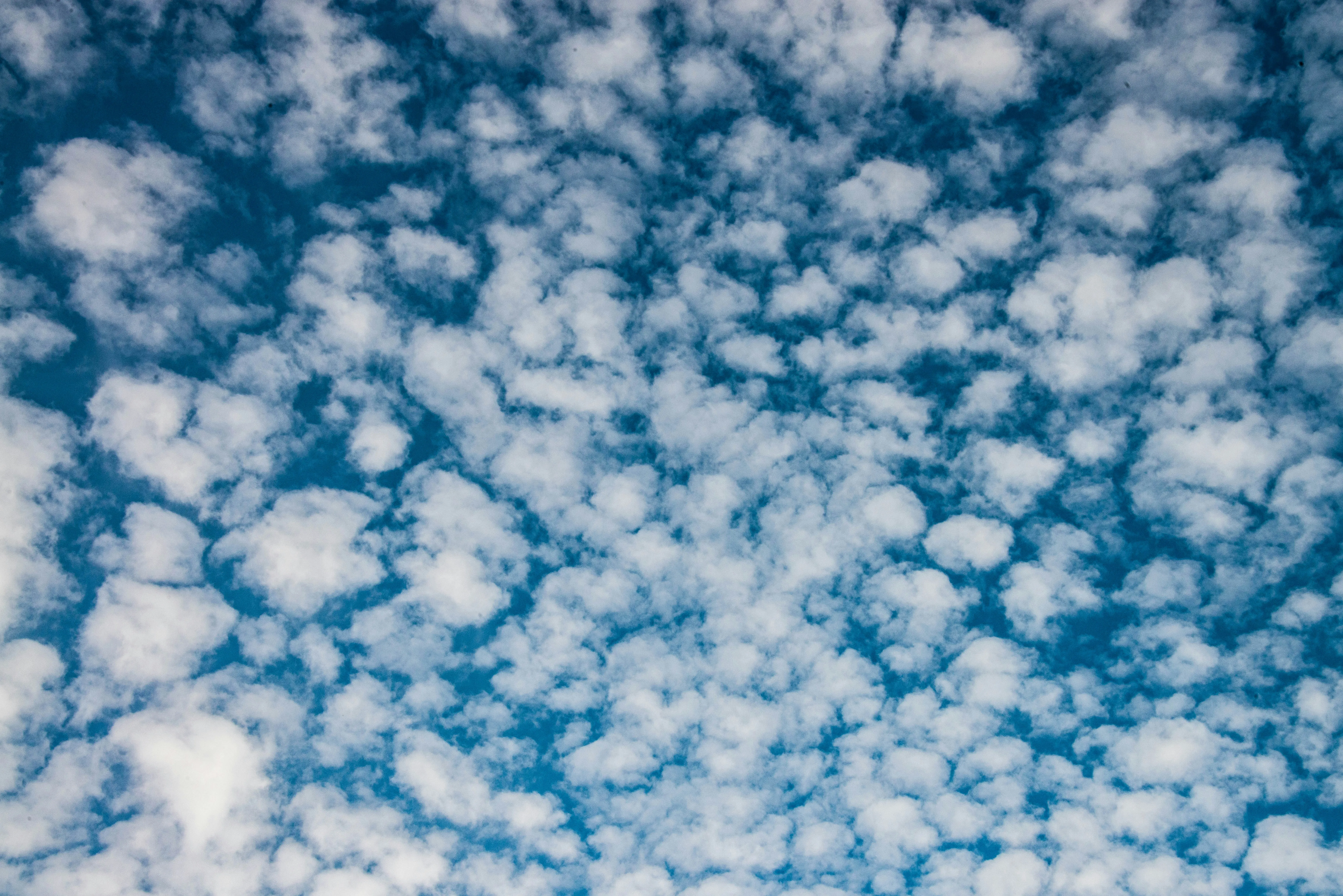 Patterned Cotton Clouds Filling the Expansive Blue Sky