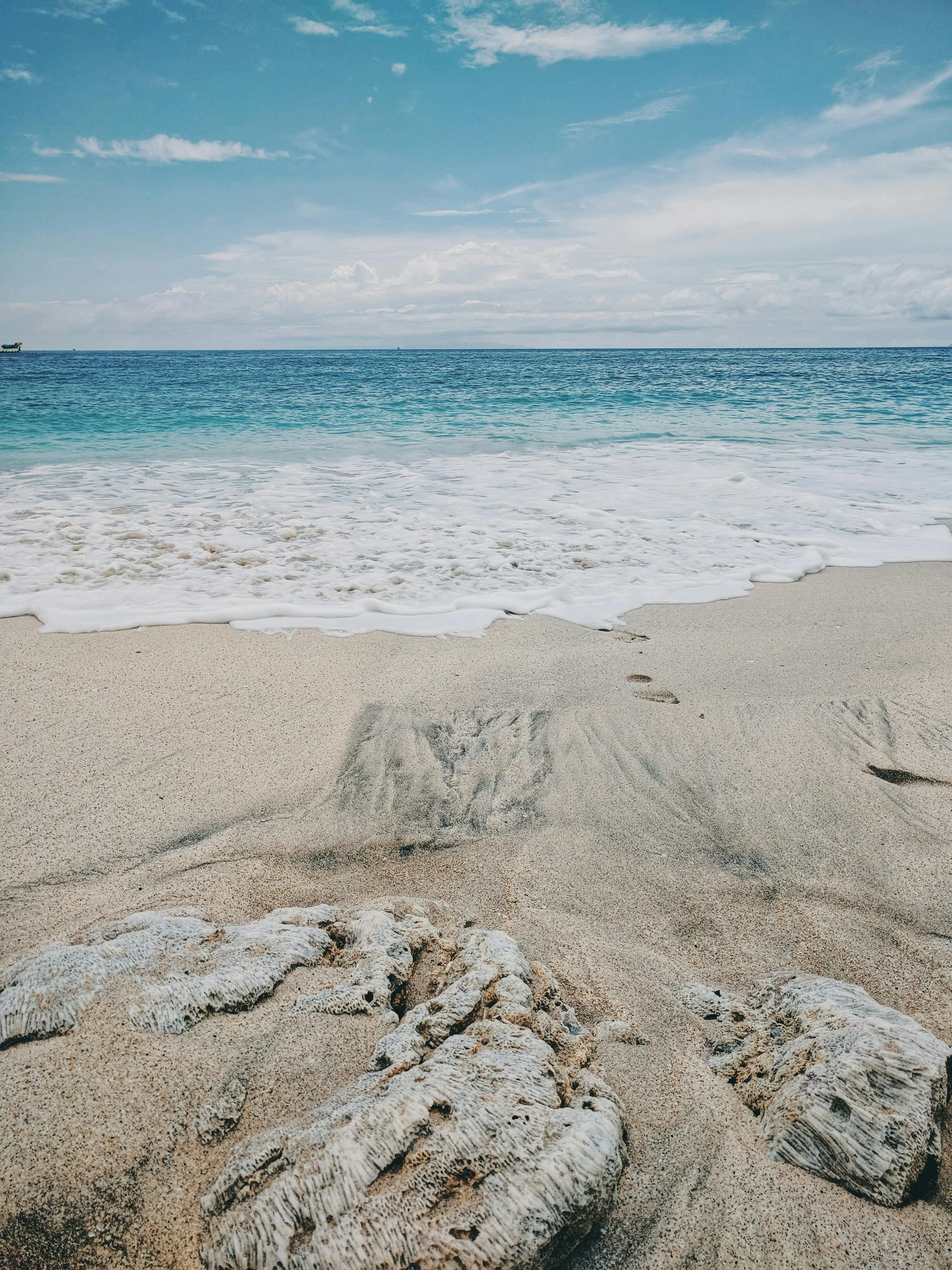 Peaceful Beach Shoreline with Soft Sand and Blue Sky