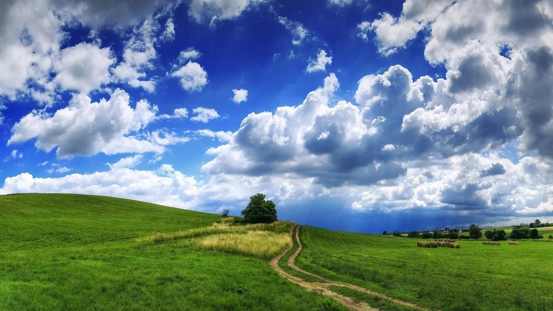 Peaceful Countryside Path with Vibrant Sky and Clouds