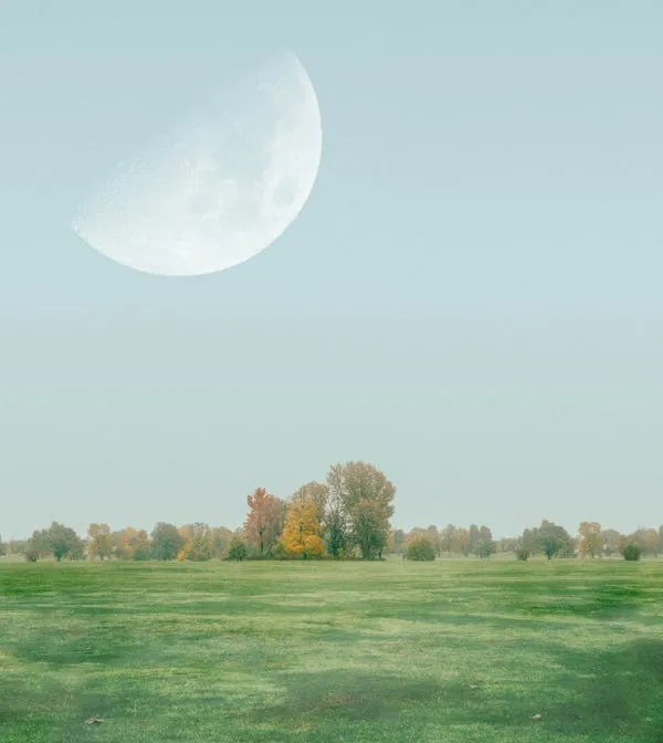 Peaceful Green Field Beneath the Bright Full Moon Wallpaper