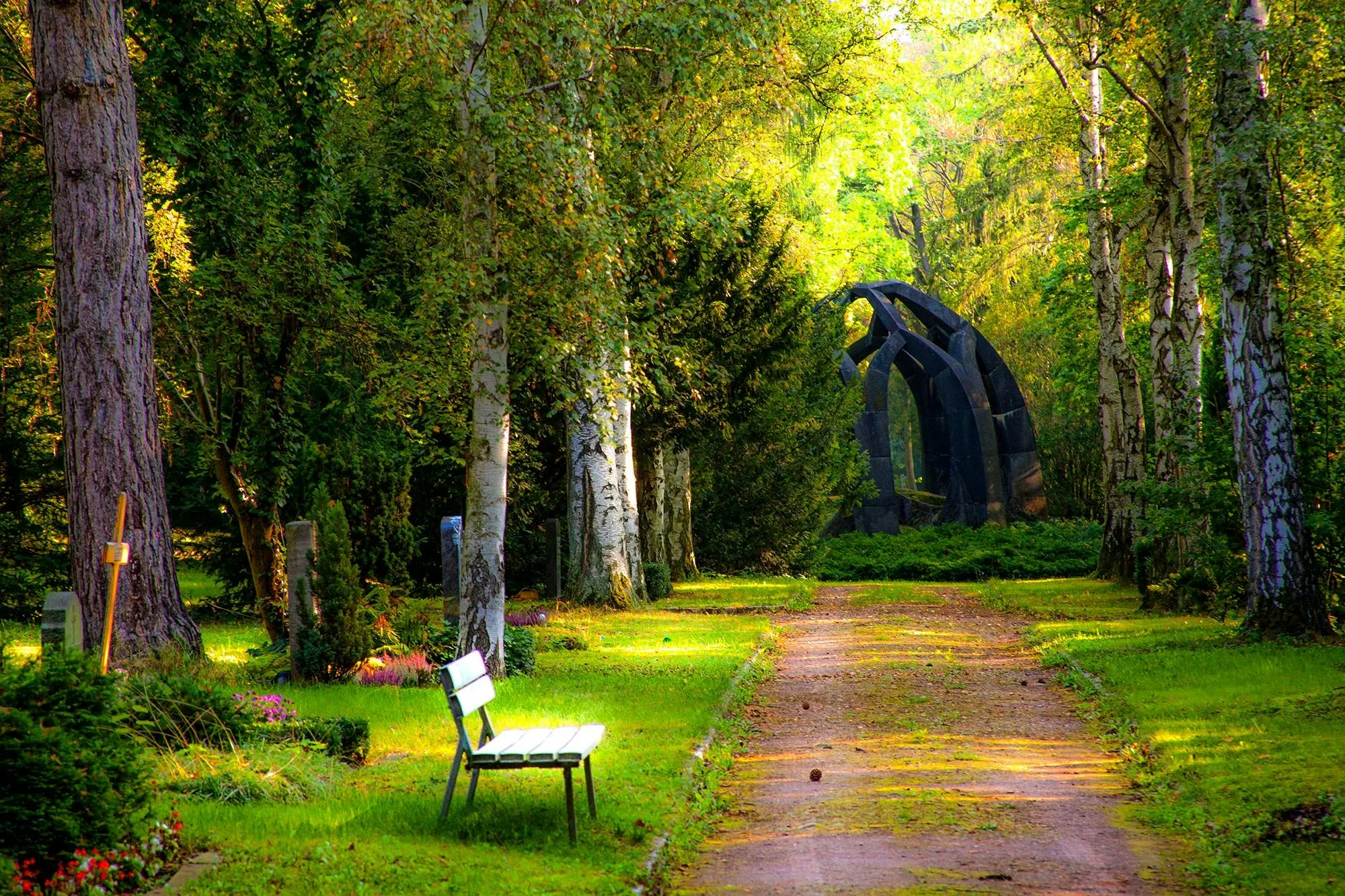 Peaceful Park Alley with Benches and Sunlight Free Wallpaper